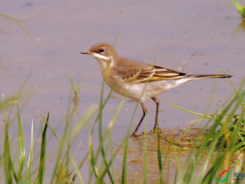 P9070437 - ����.JPG