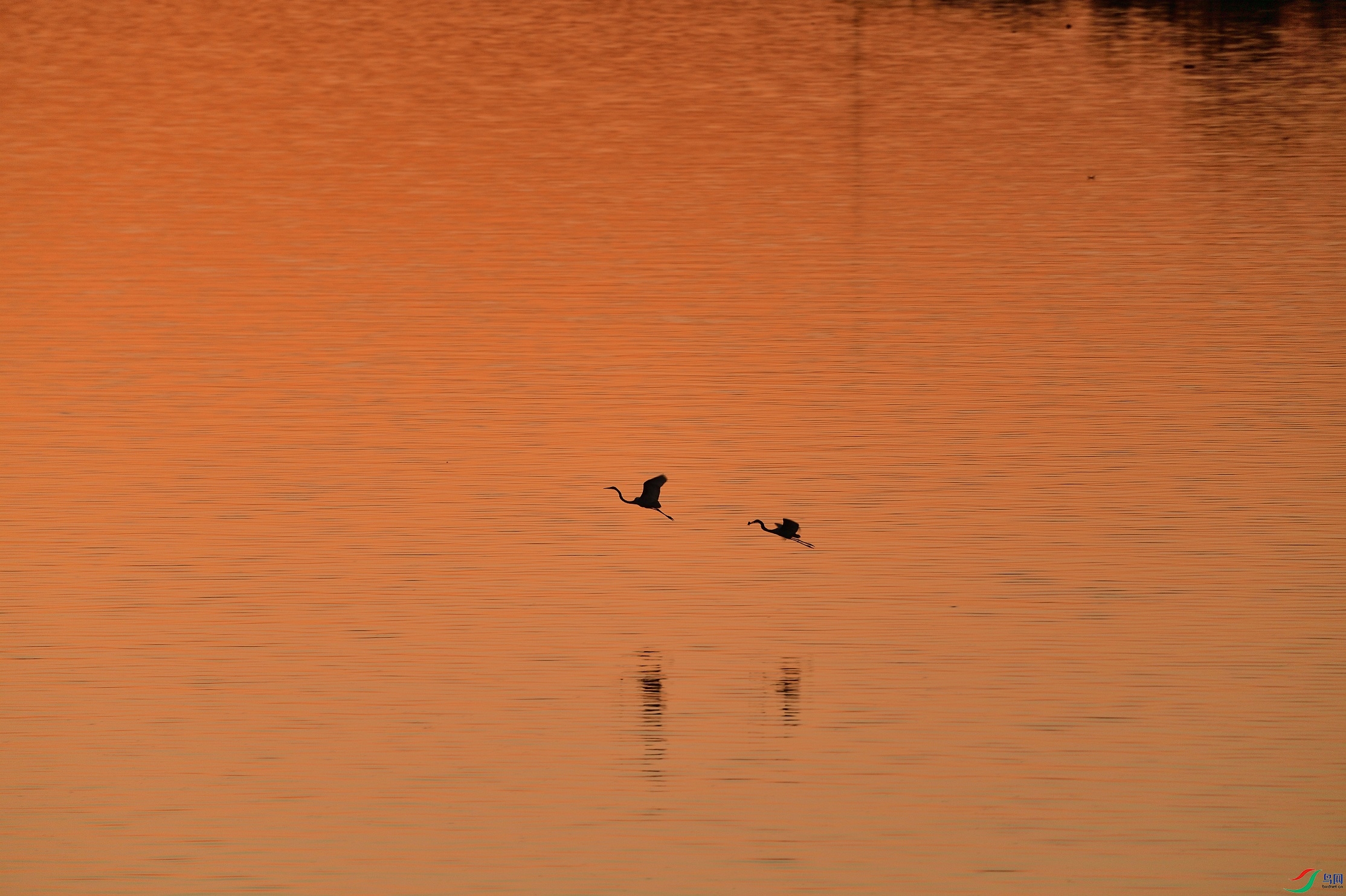 21N_7731.JPG