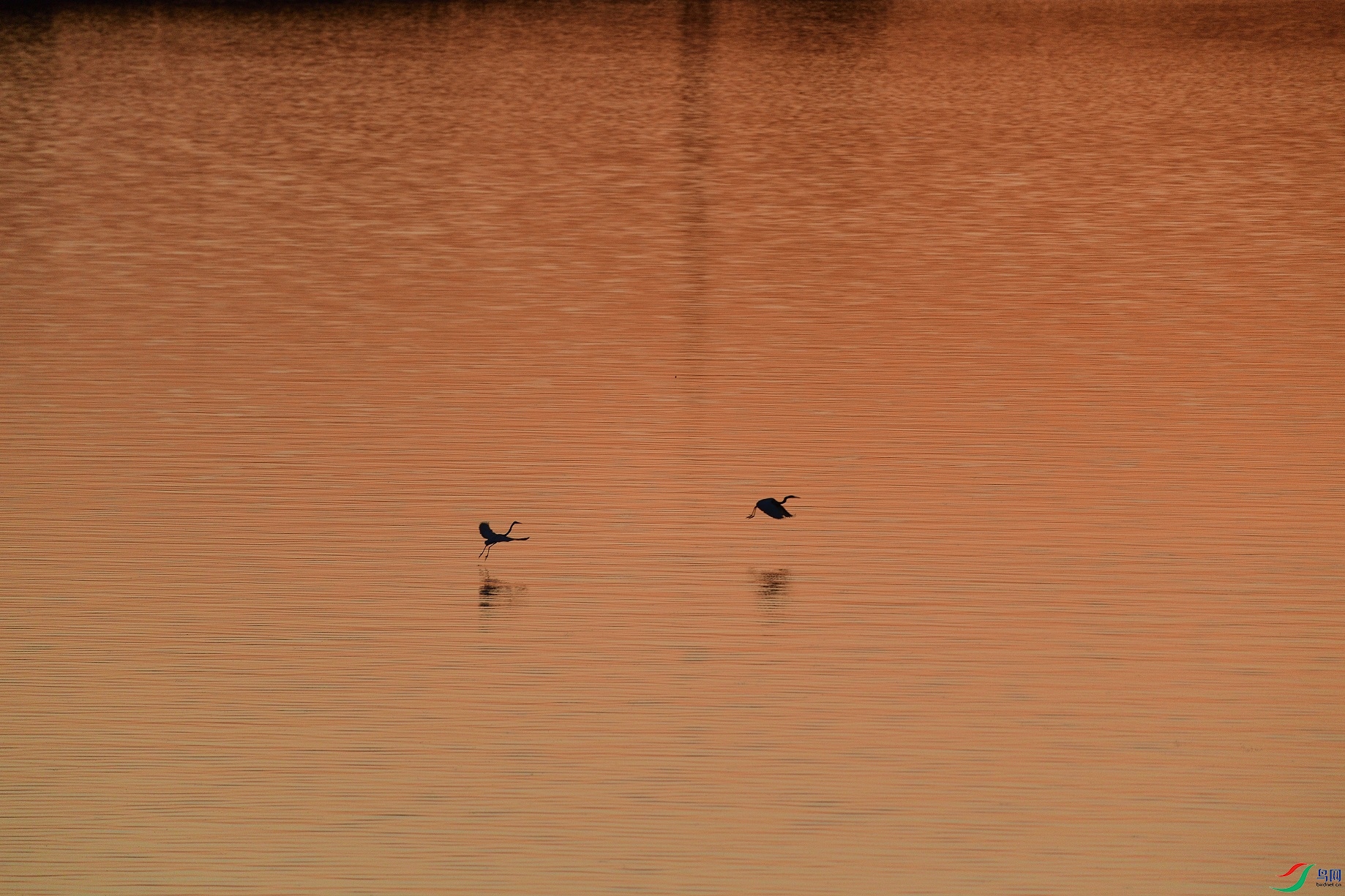 21N_7778.JPG