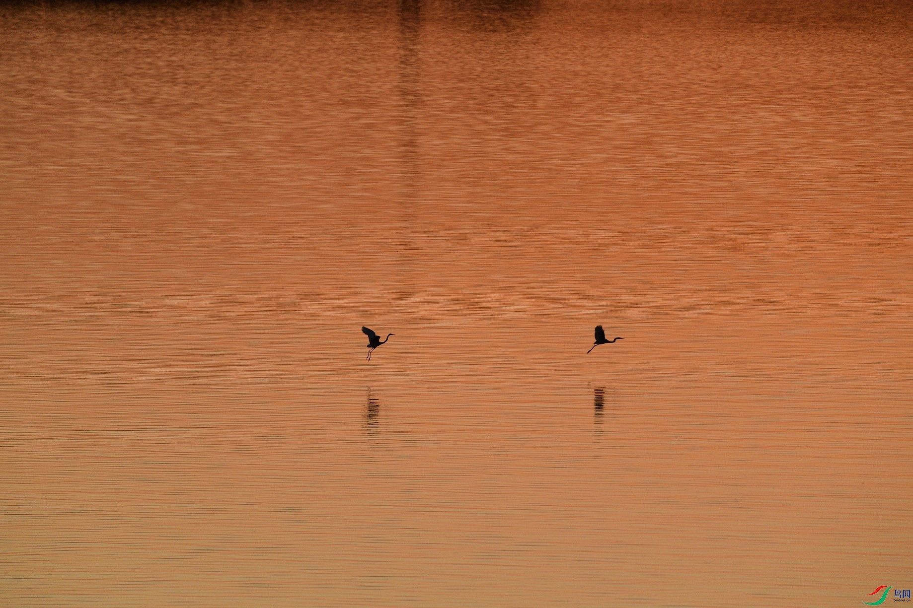 21N_7781.JPG