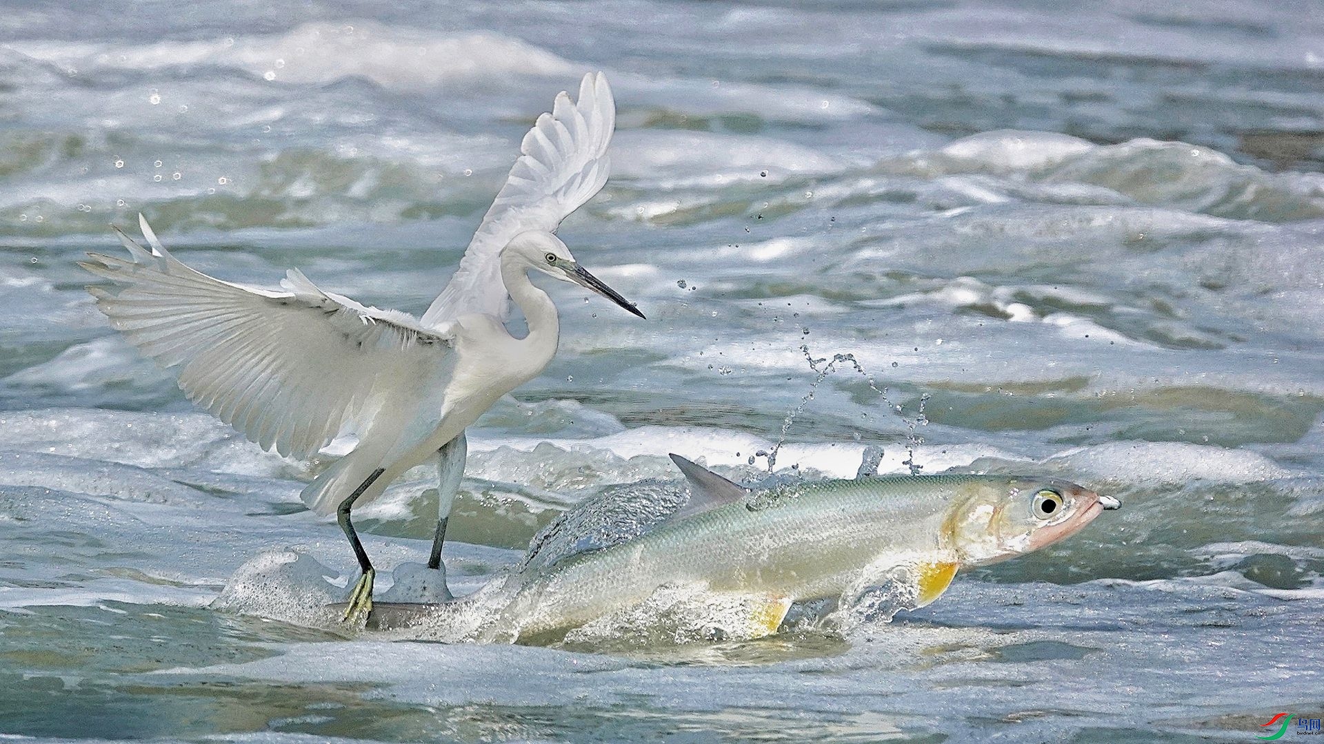 ����ʤ��