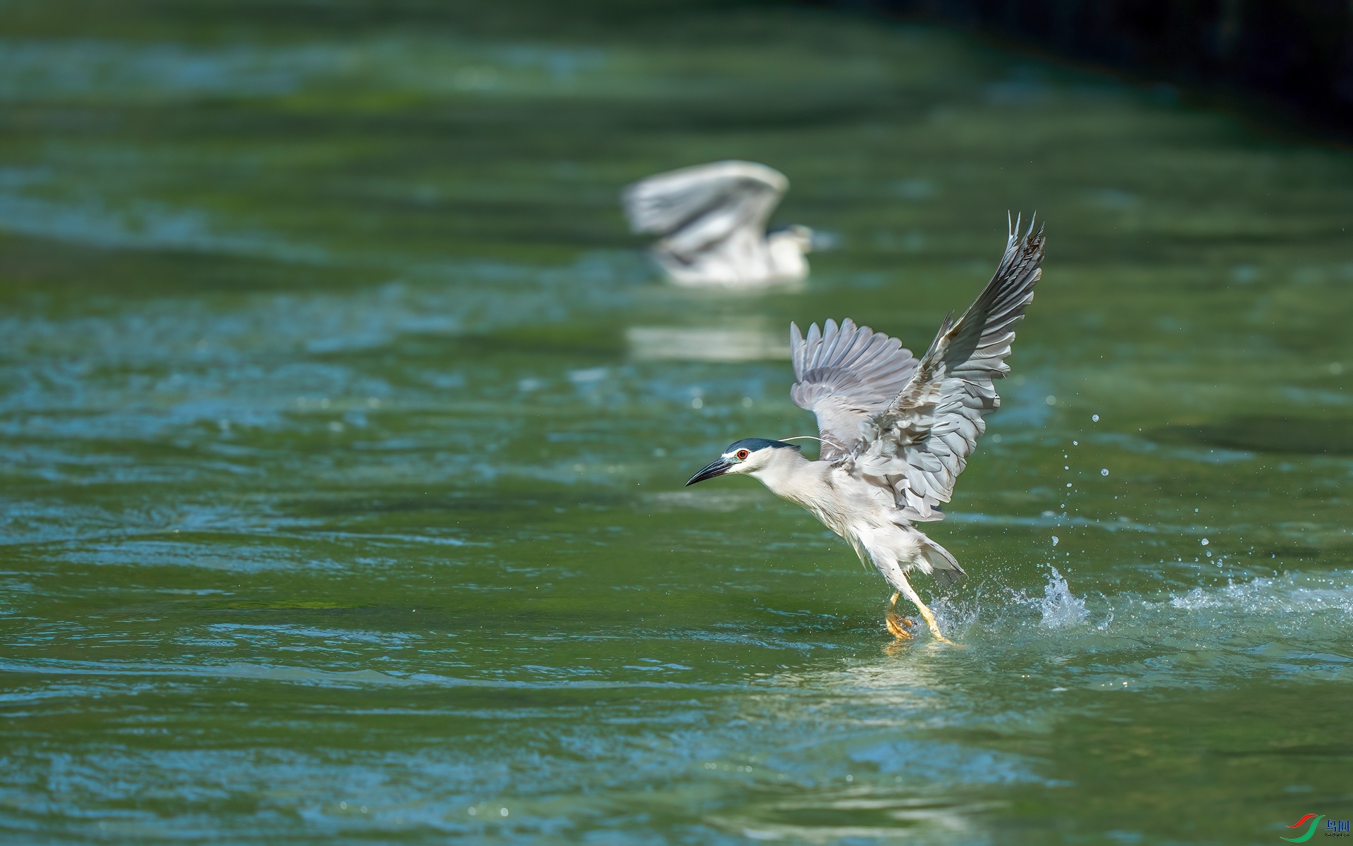 ҹ��ϷˮDSC06646-1.jpg