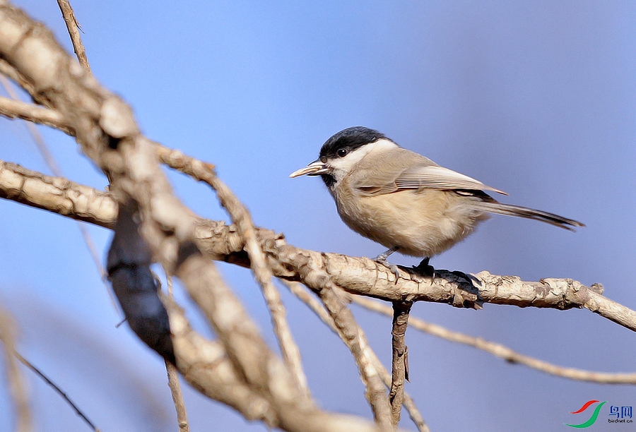 ASC_4689.JPG