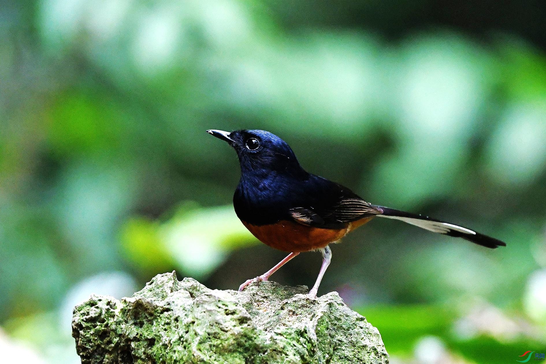 NIKON D500670_����.jpg