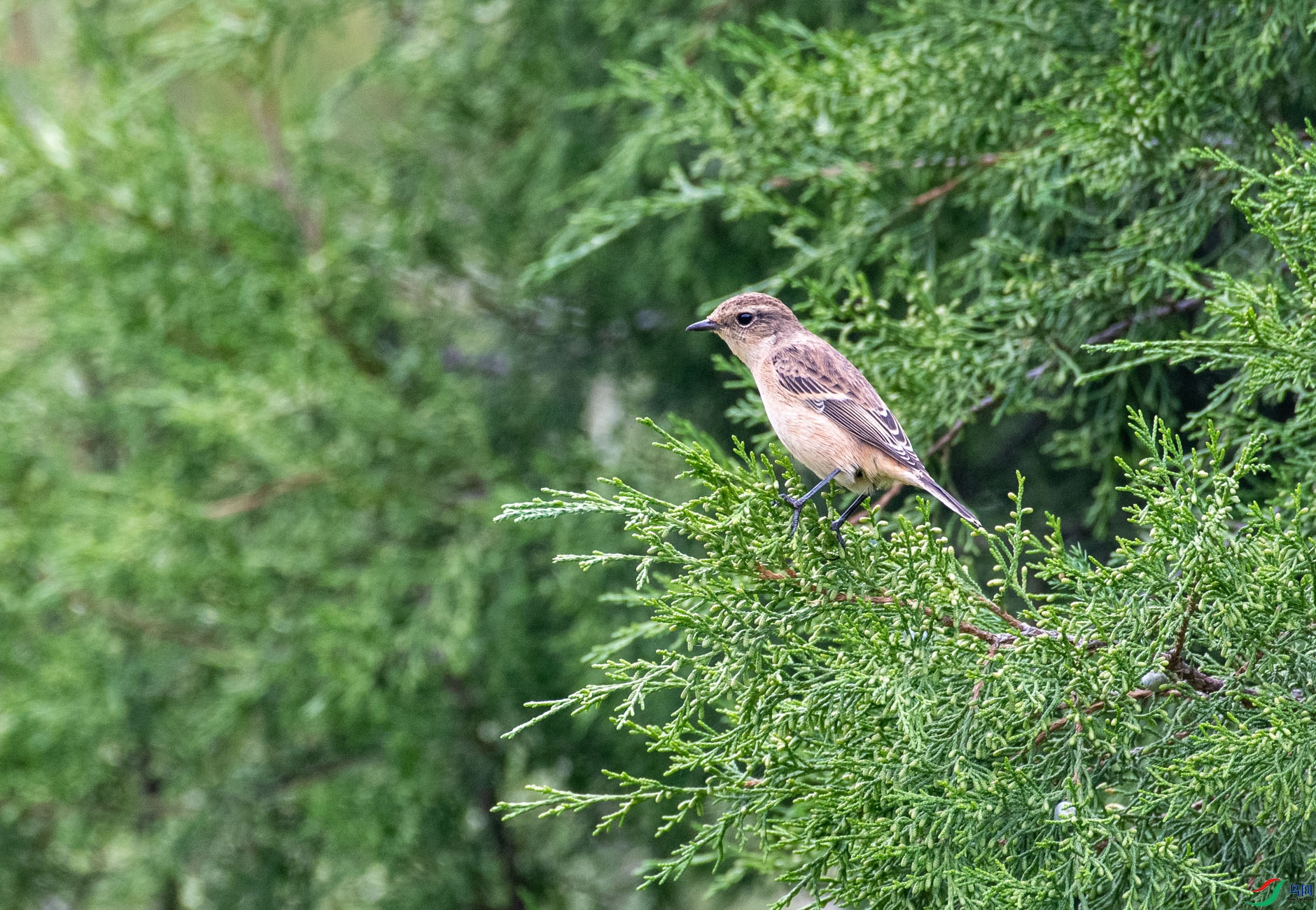 DSC_5659.jpg