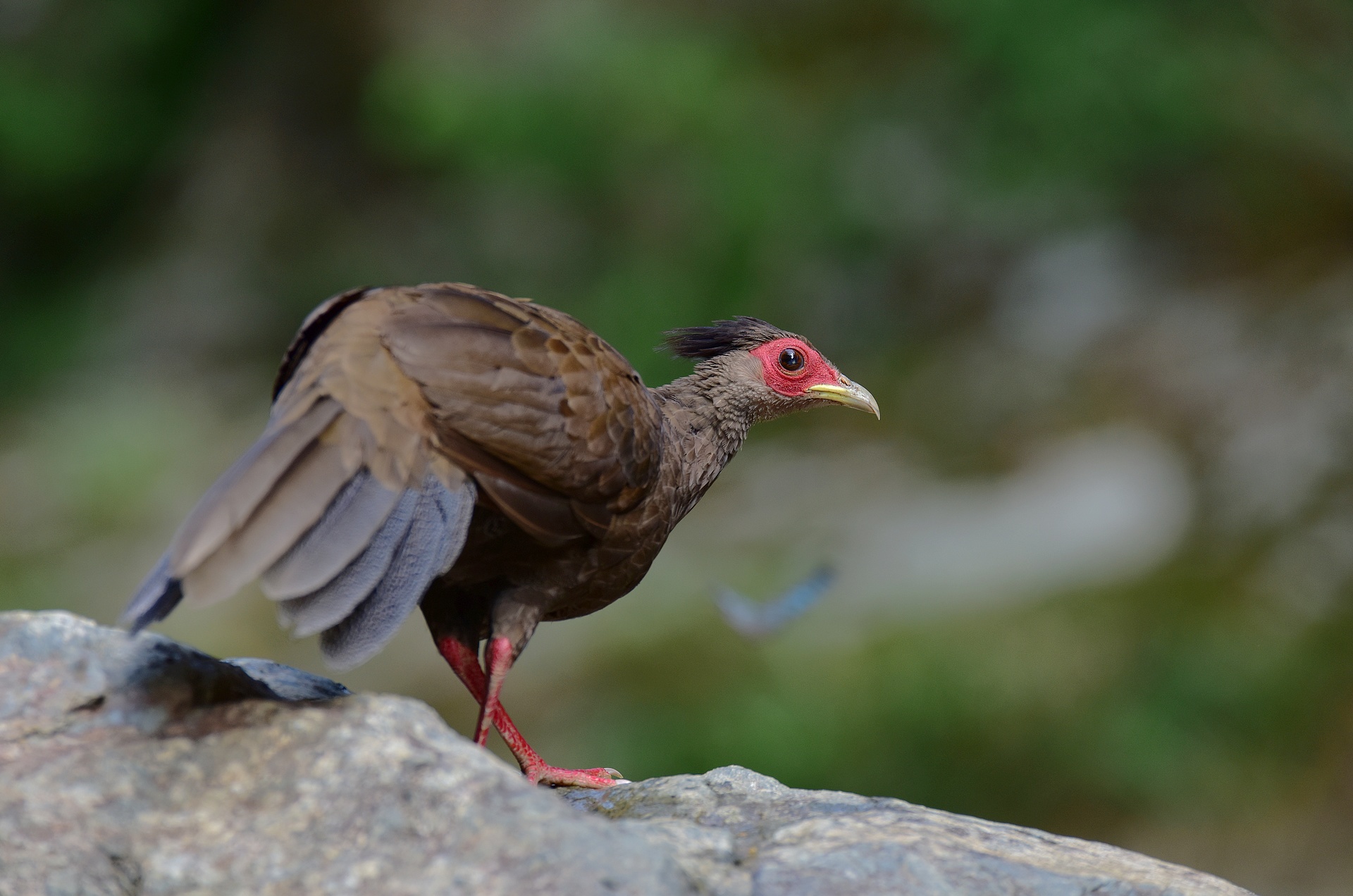 D8I_6367.jpg