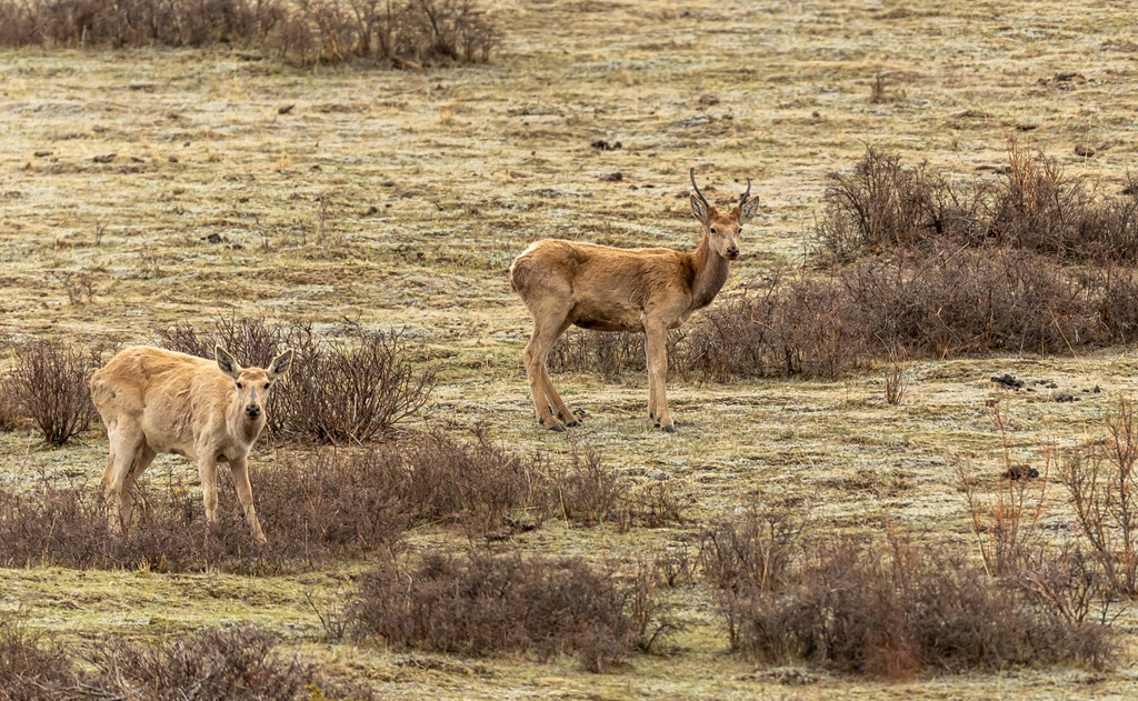_DSC5617.jpgps2_����.jpg