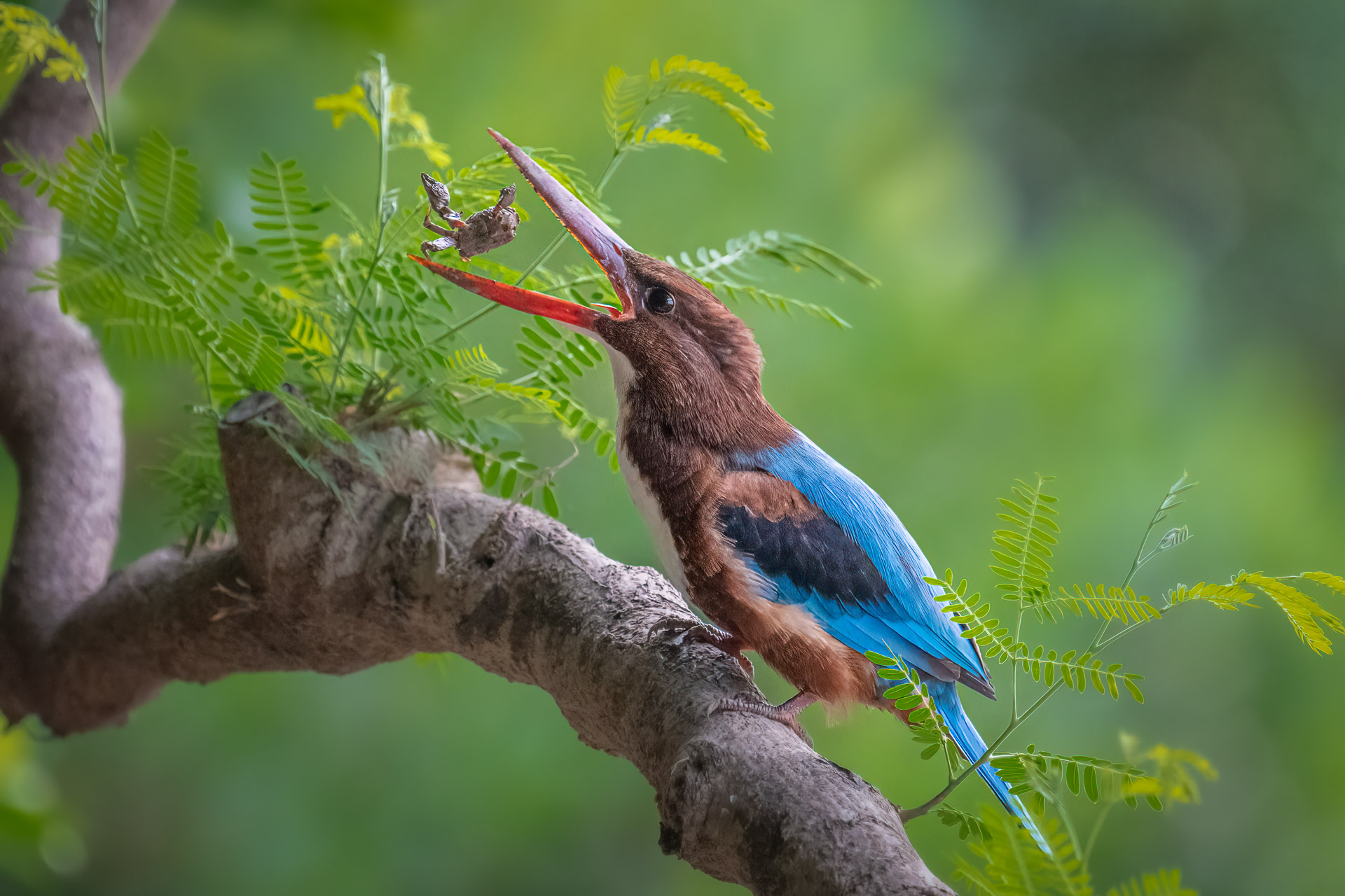_DSC7764-Edit.jpg