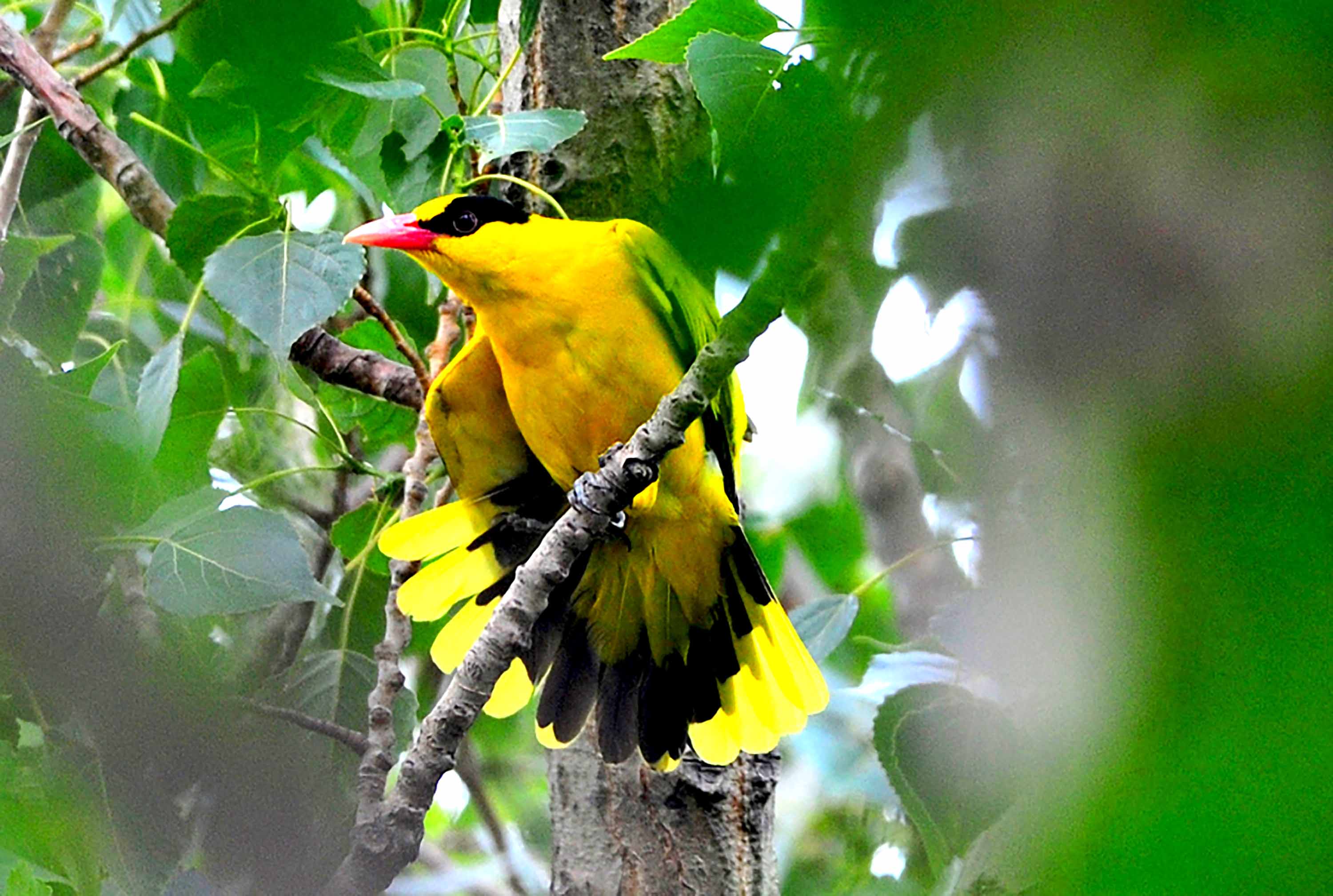 DSC_6120.JPG