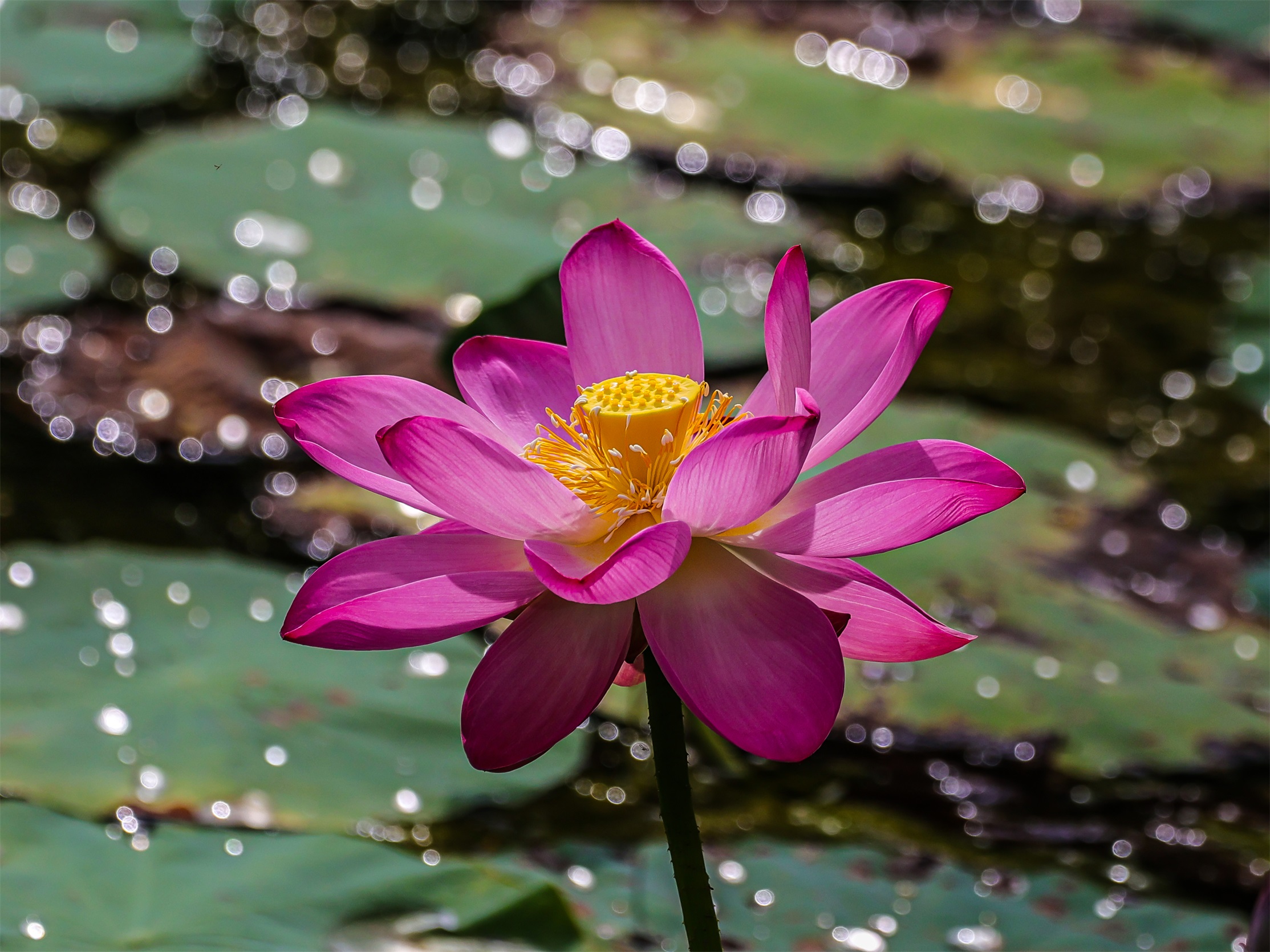 1K3A0754 ����1.jpg