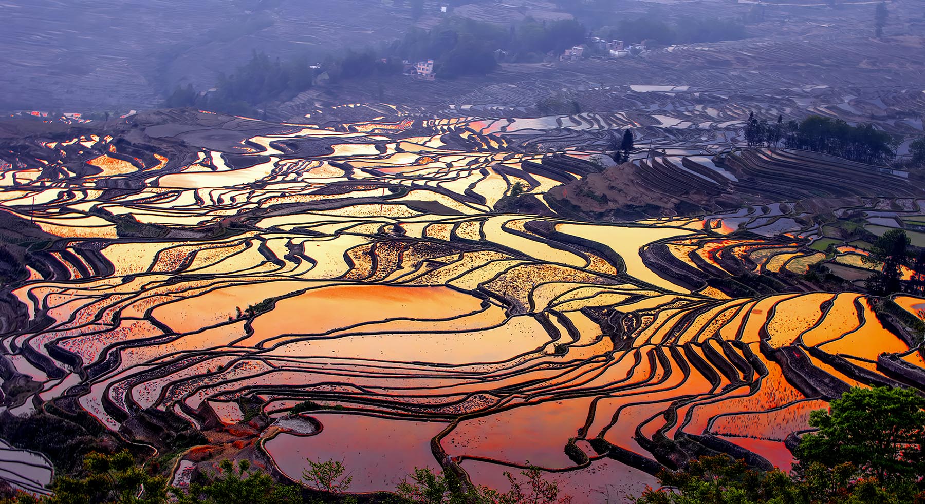 DSC_0895-NEF_DxO_DeepPRIME - ���ﳿ��.jpg