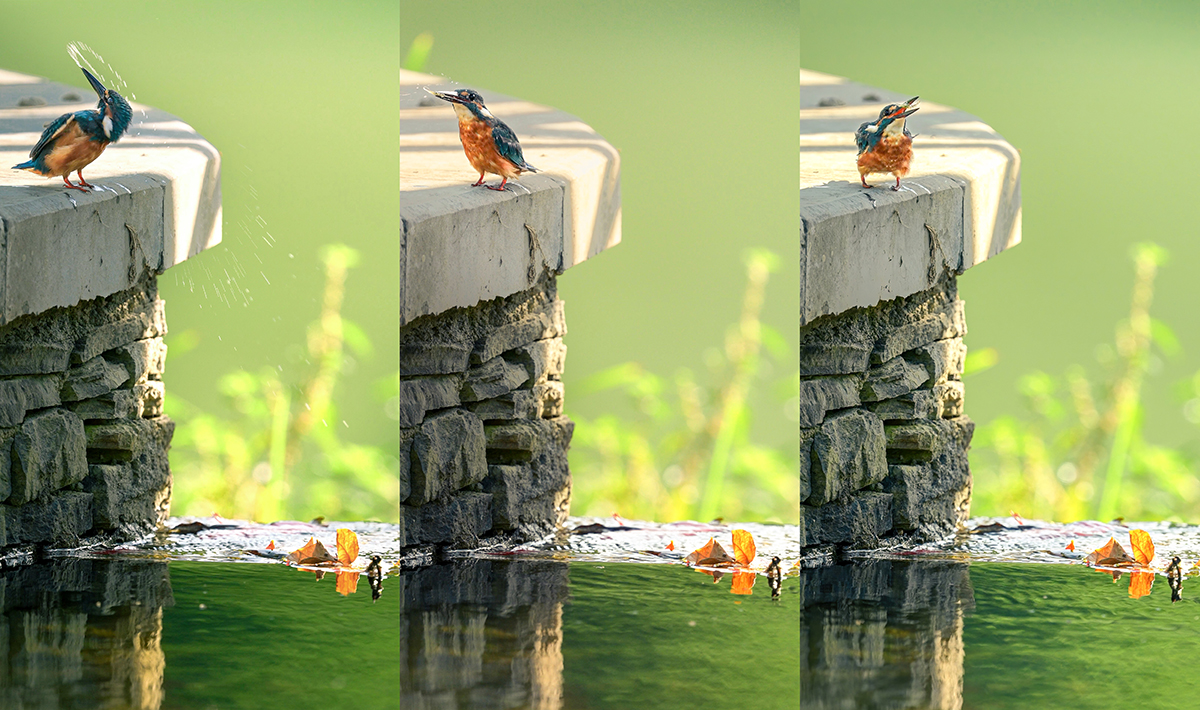 δ����-1 ���� 2.jpg