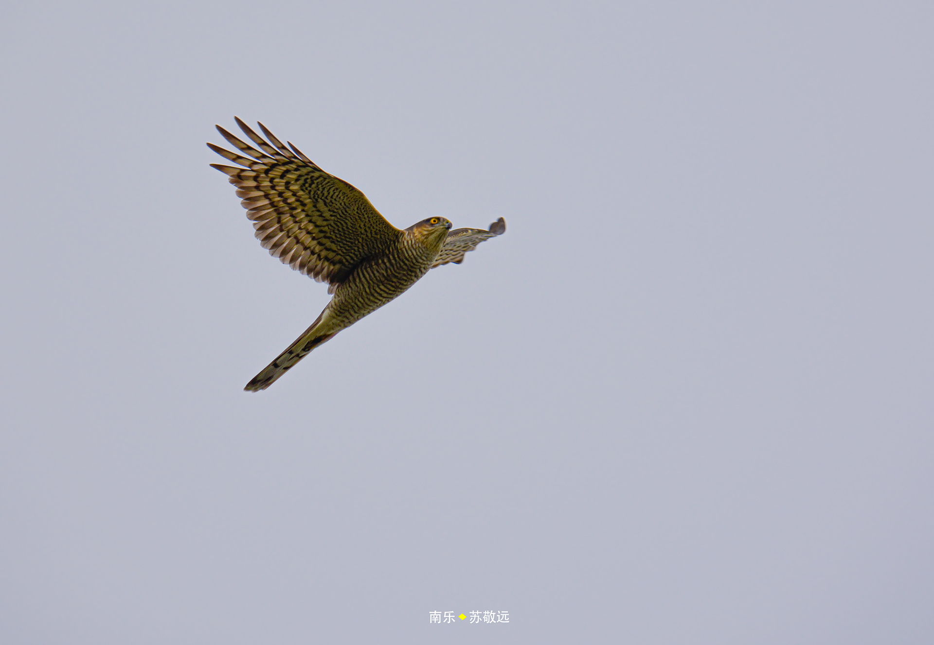 _DSC8785С.jpg
