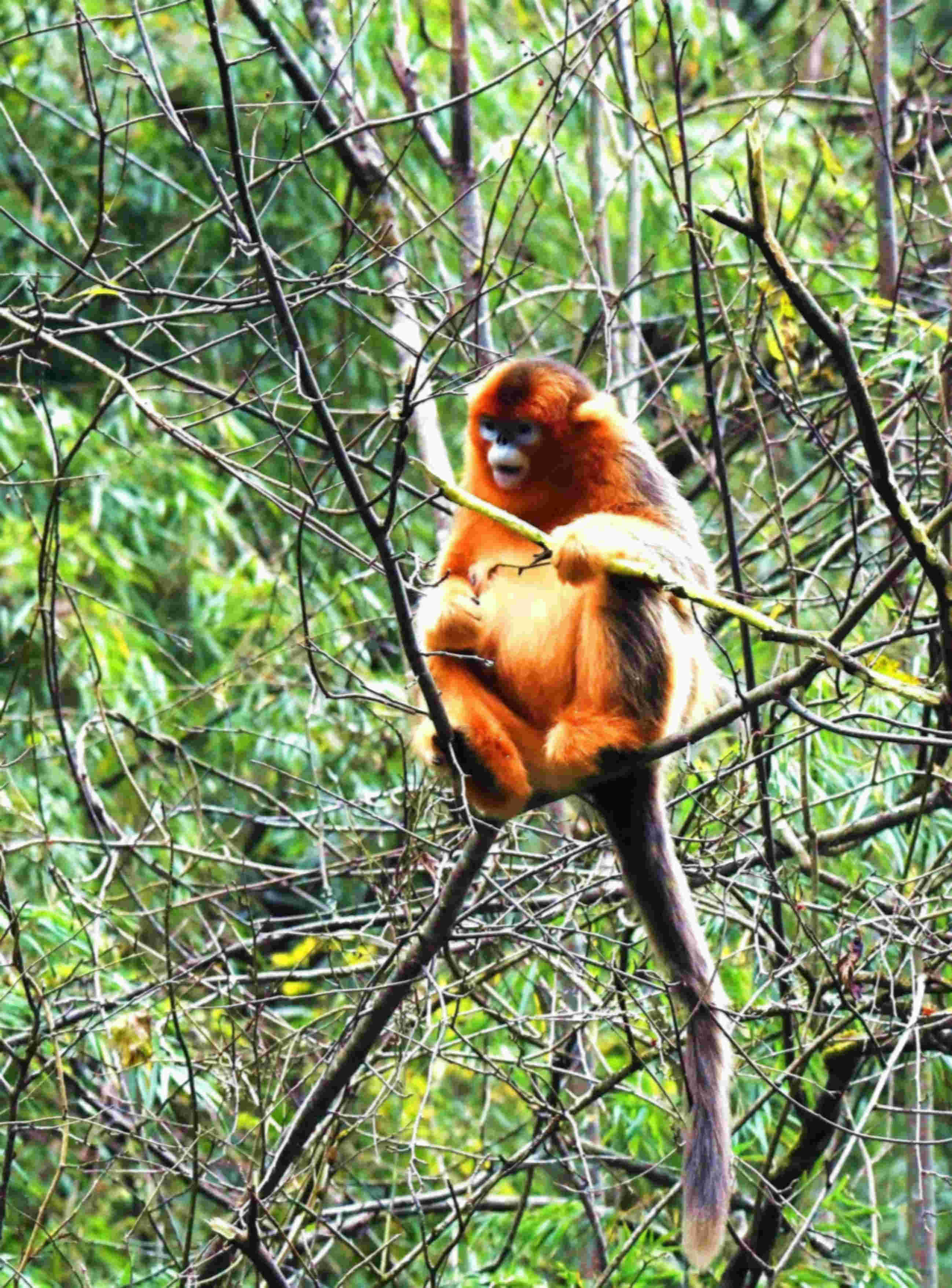DSC_8149_����.jpg