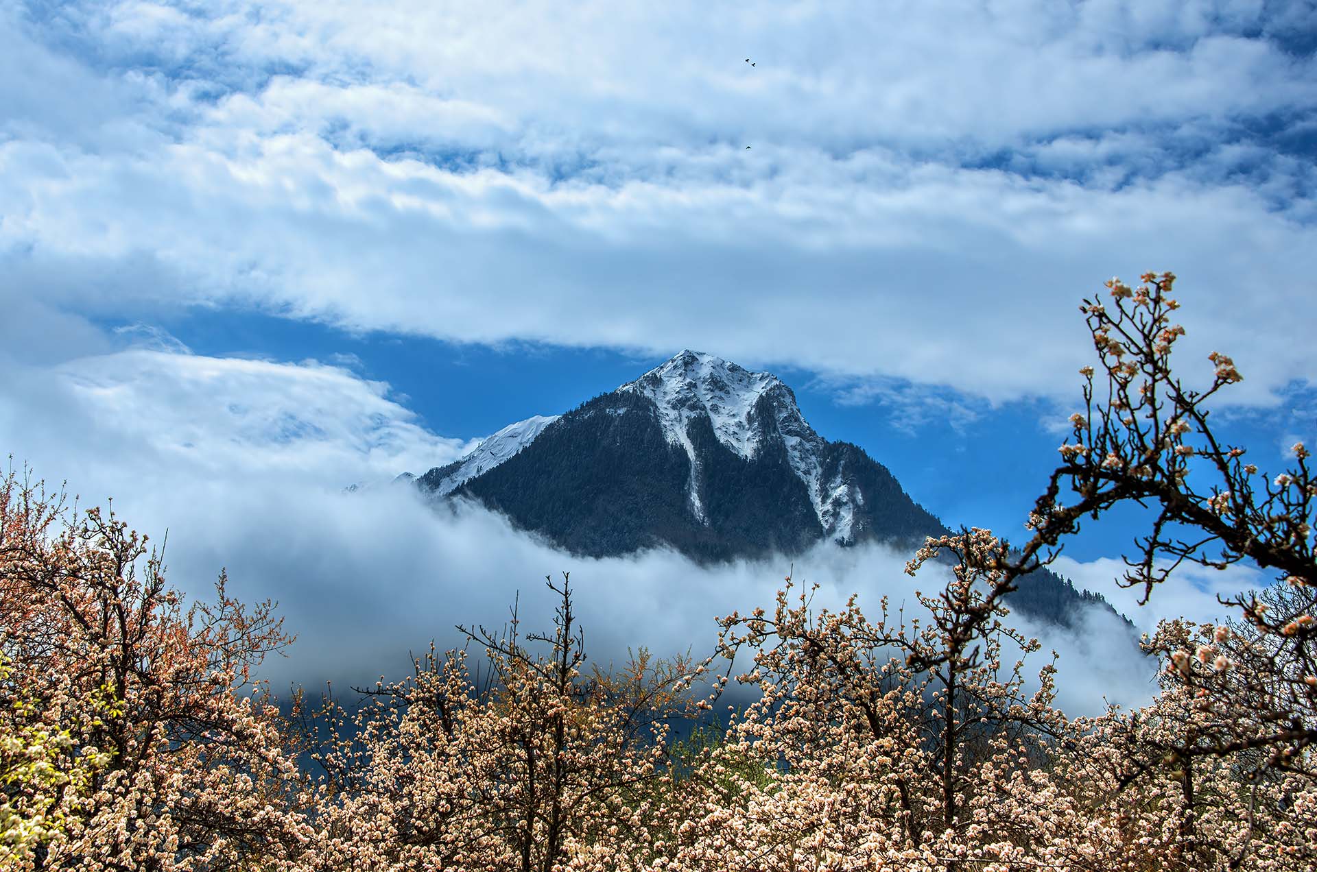 _DSC9248 - ѩɽ֮�� -AAA.jpg