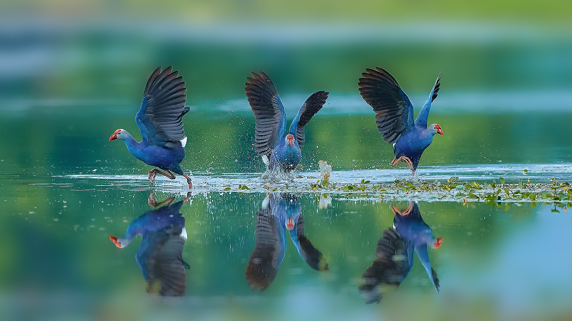 AV3I3371��-1 ����-HZW.jpg