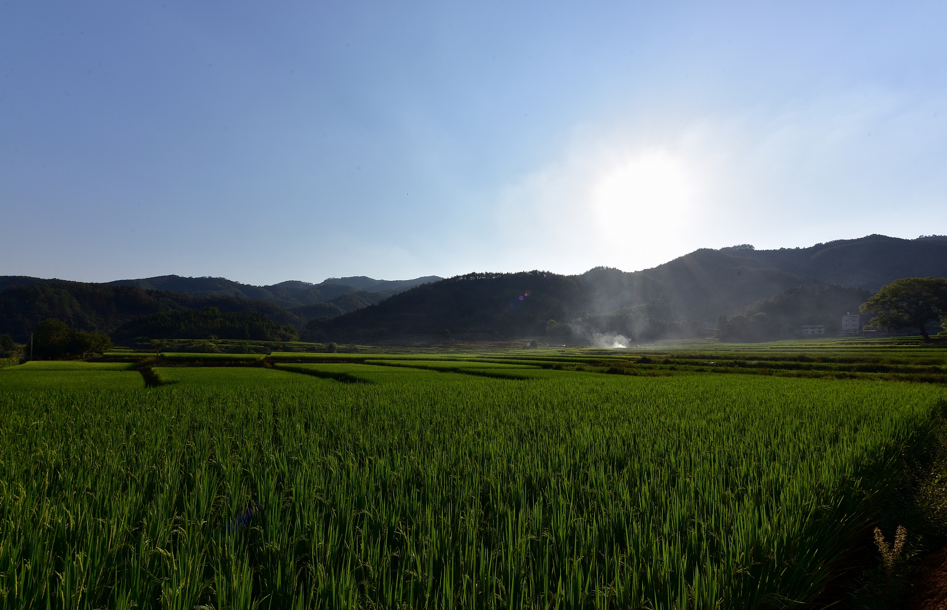 D8I_0542.jpg