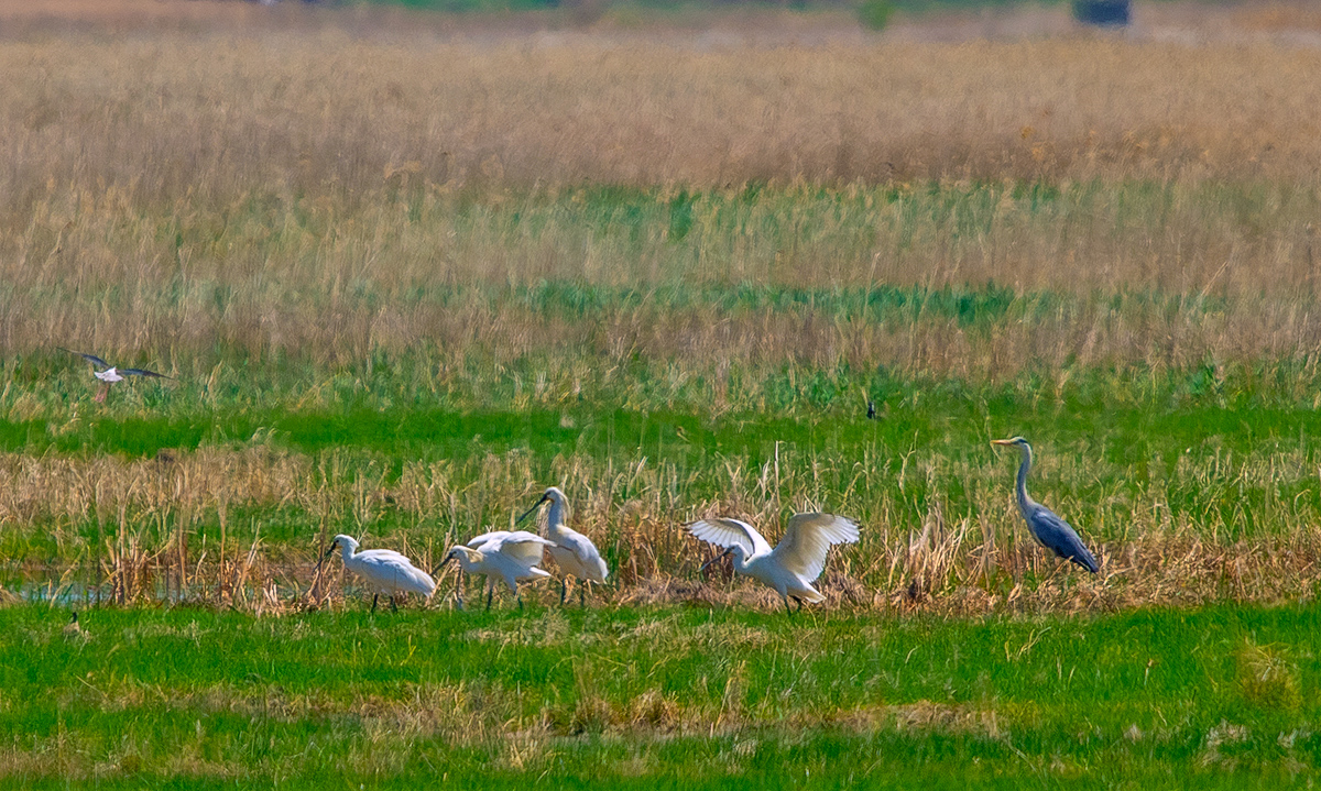 DSC_3747.JPG