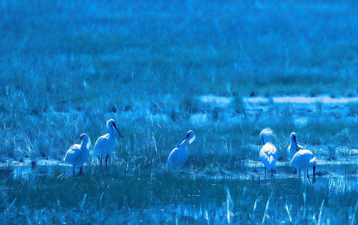 DSC_3375.JPG
