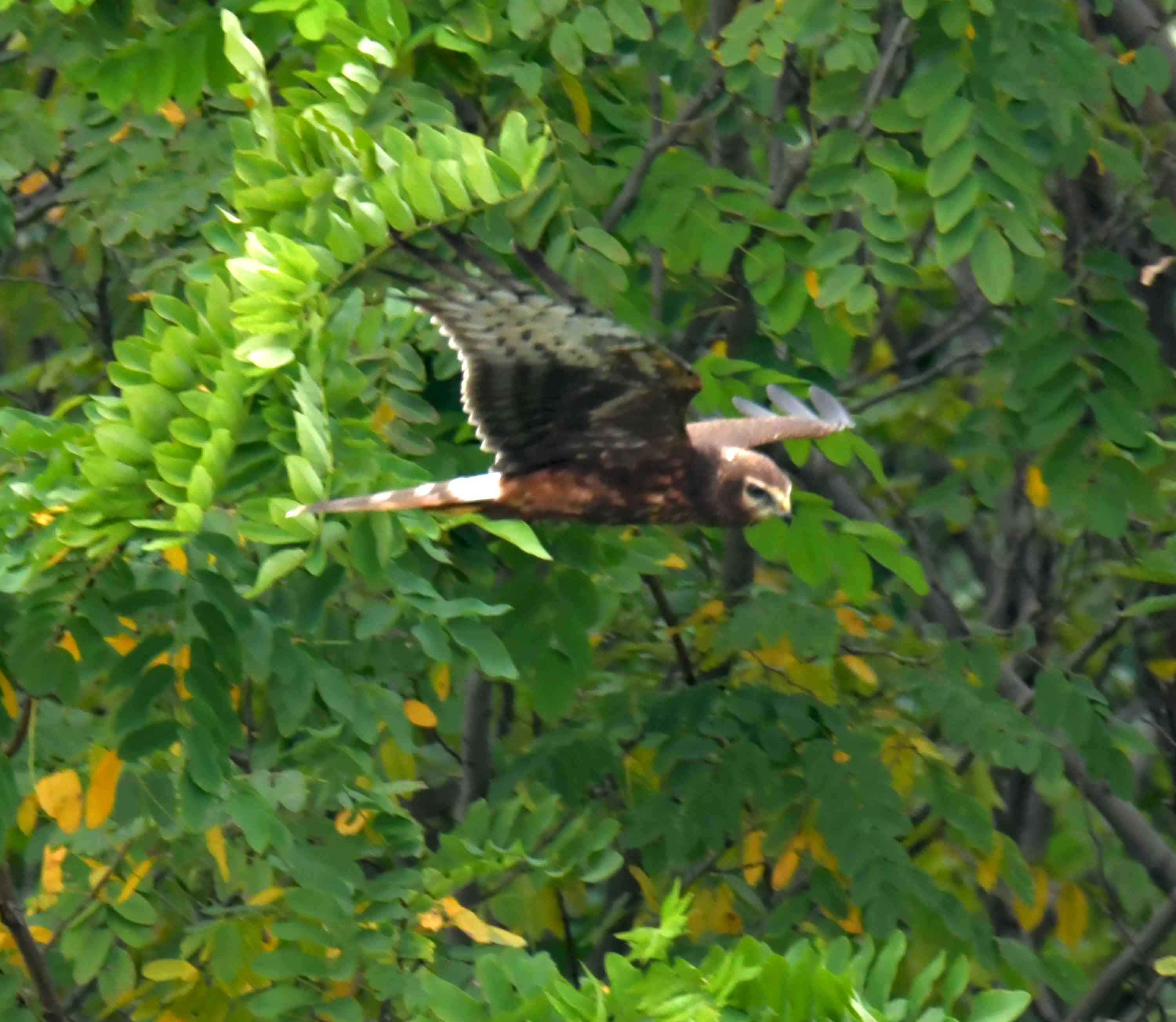 DSC_2832.JPG
