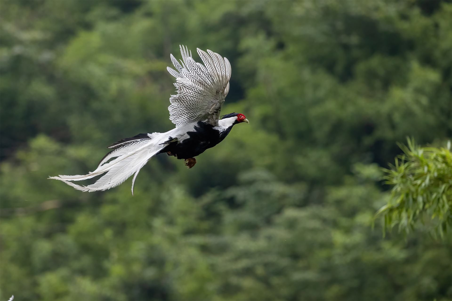A86I2733-2.jpg