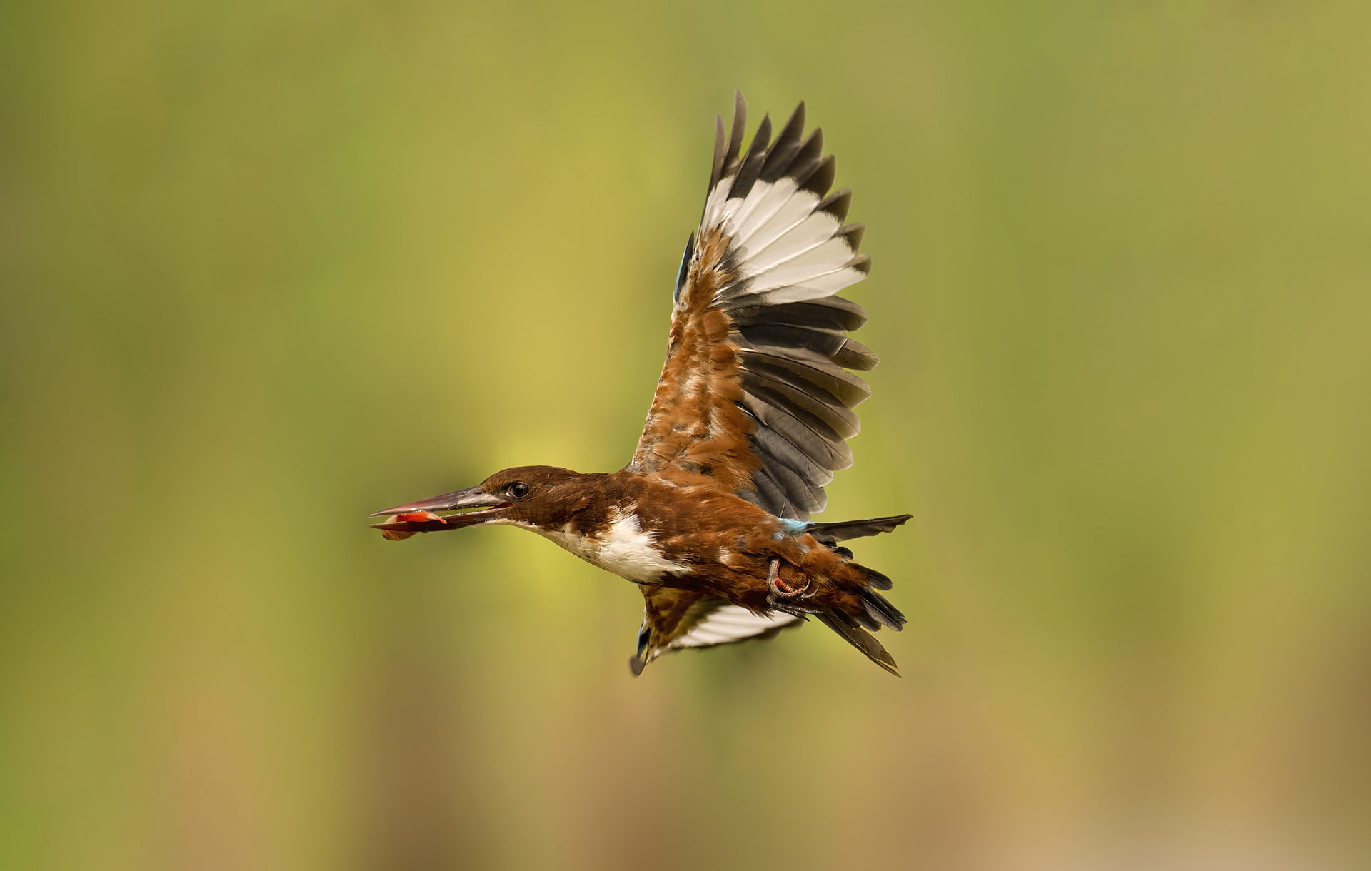 DSC_4018 ���� 3.jpg