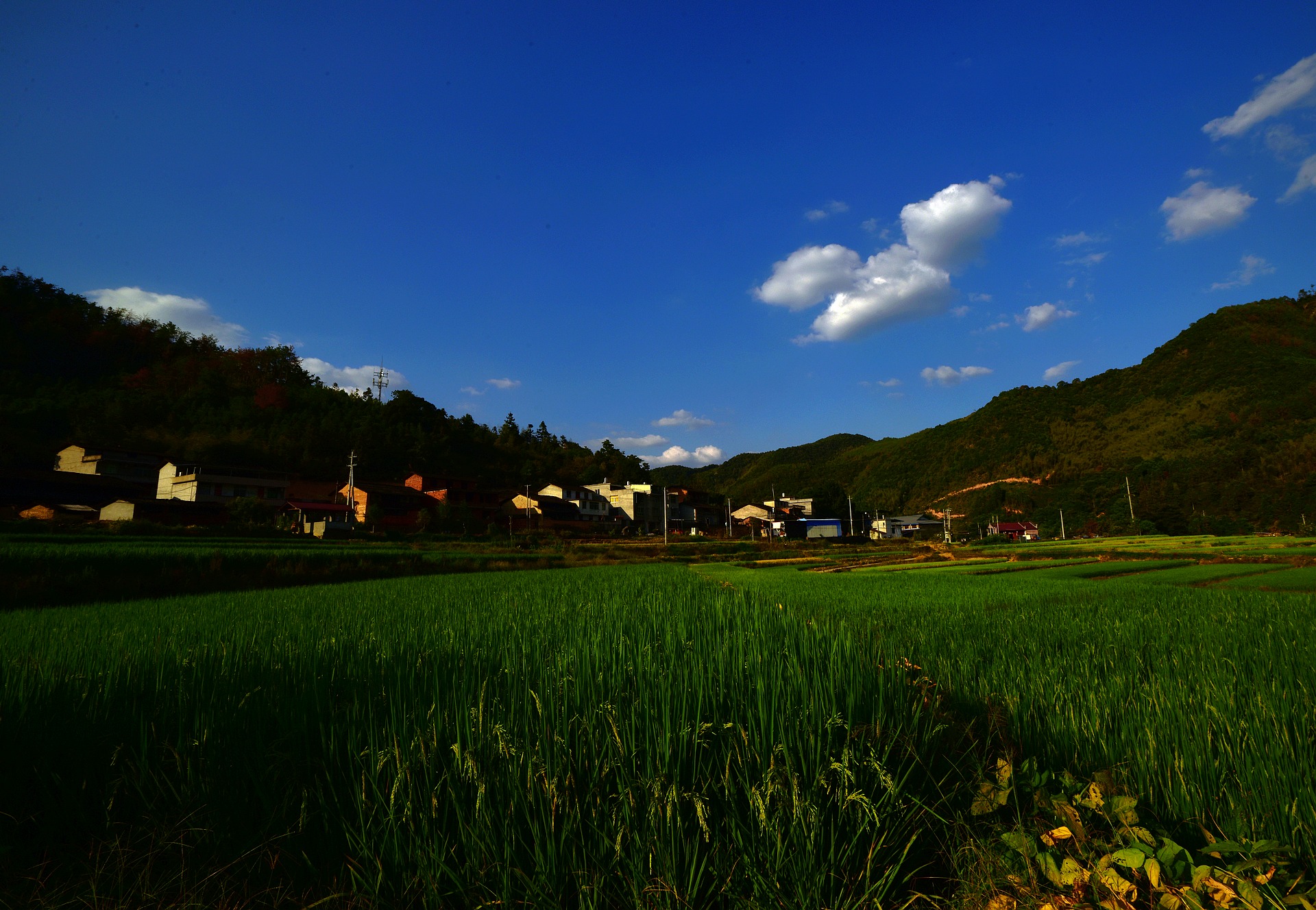 D8I_0715.jpg