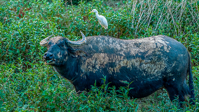 DSC07253 ����.jpg