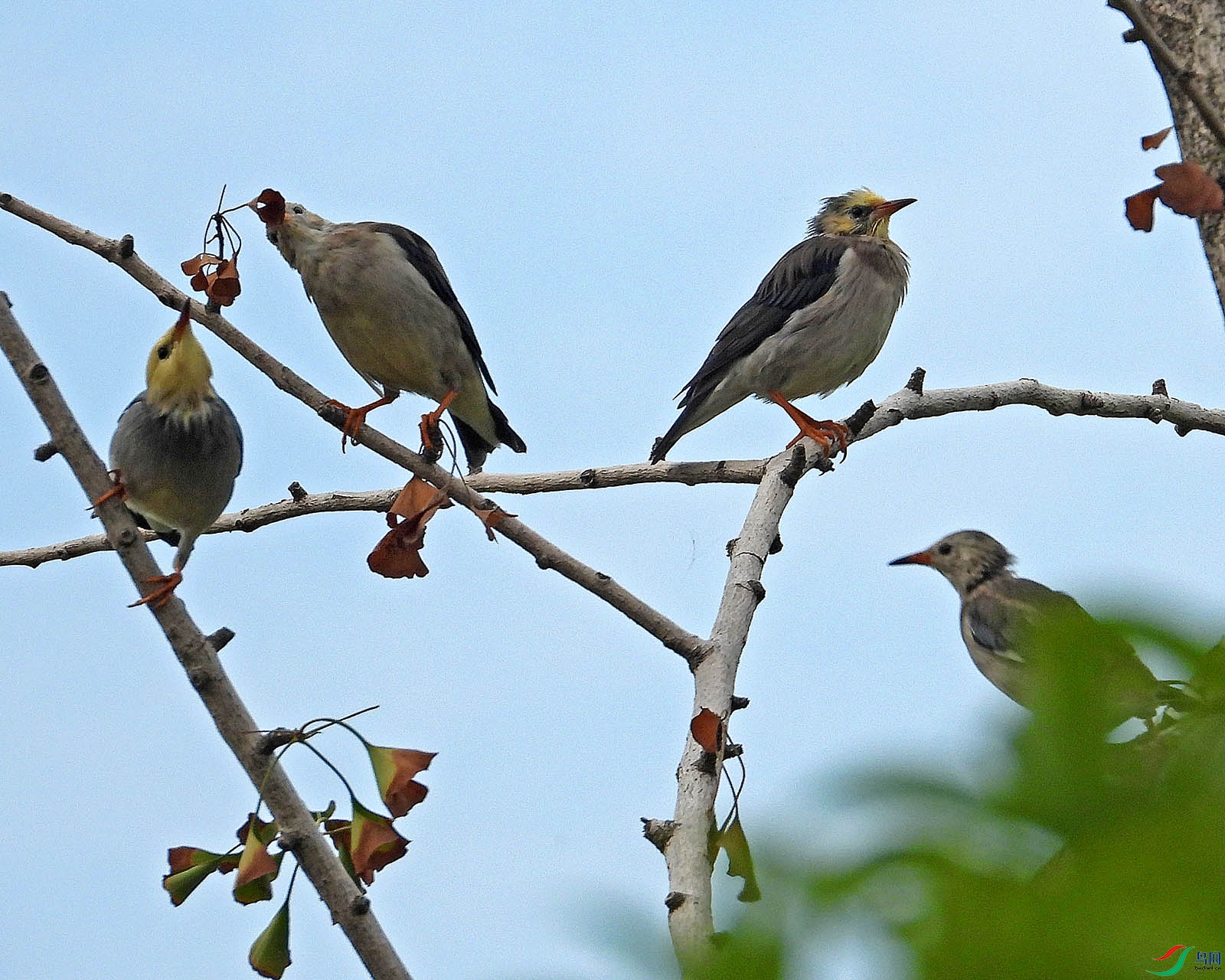 DSCN6615.jpg