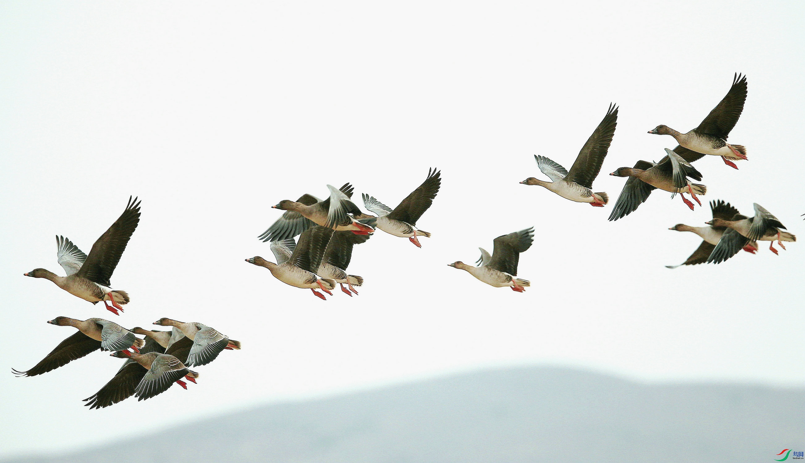 ����2_ =.jpg