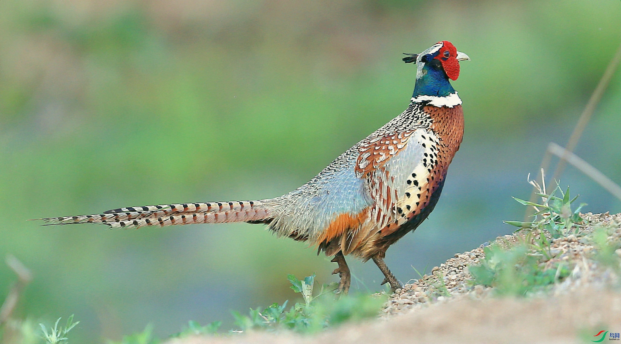 ������ 2_ =.jpg