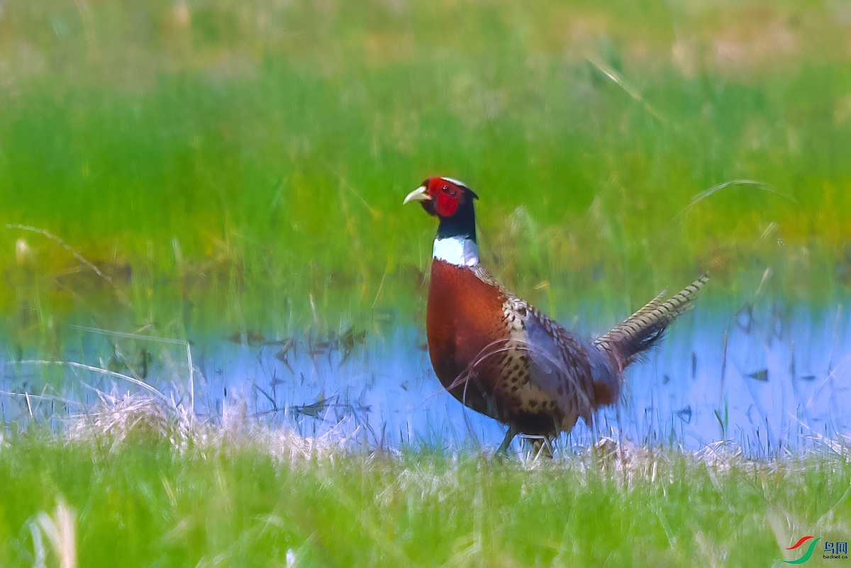 DSC_3069.JPG
