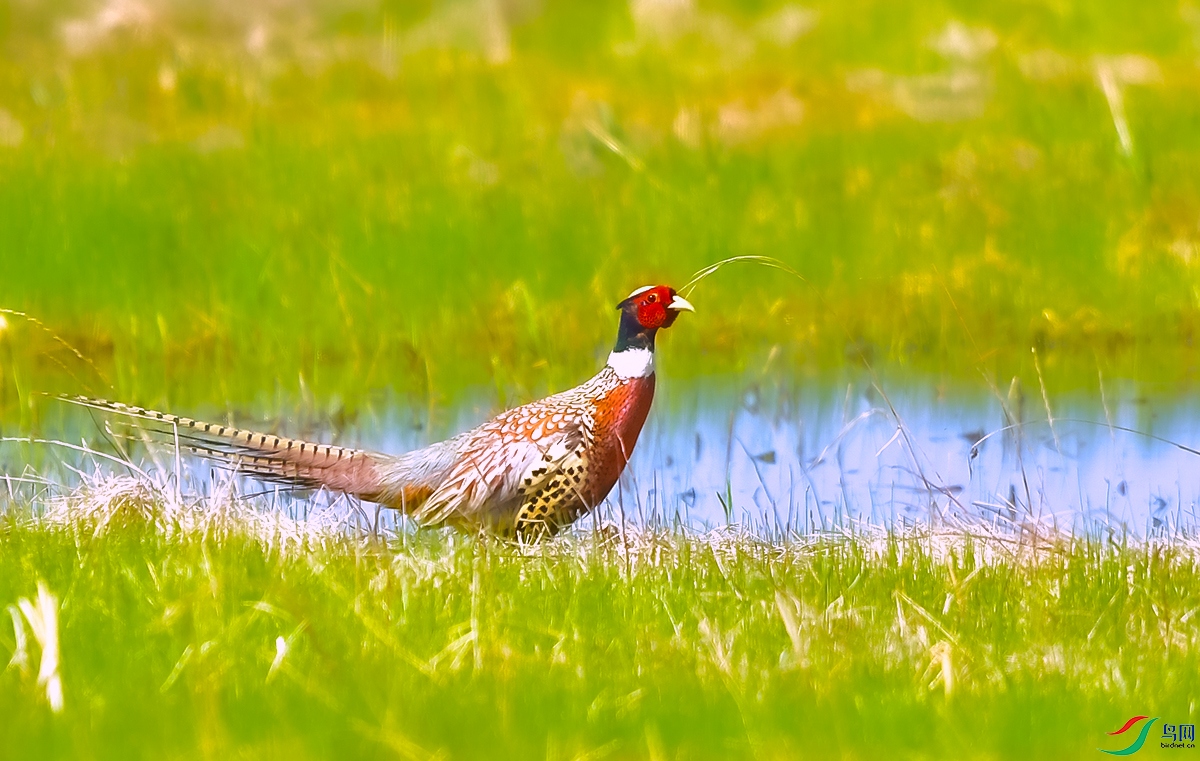 DSC_3025.JPG