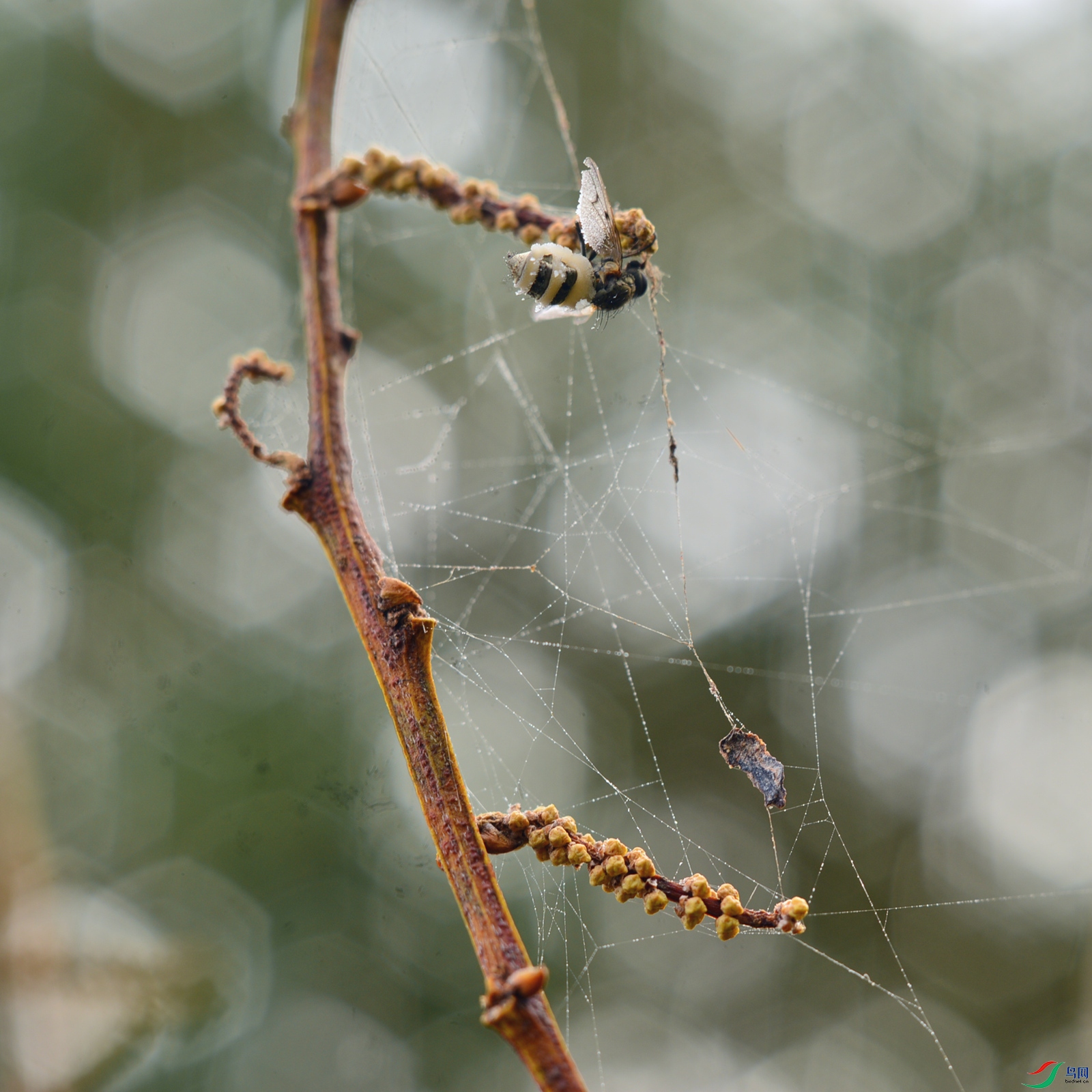 DSC_0915_����.jpg