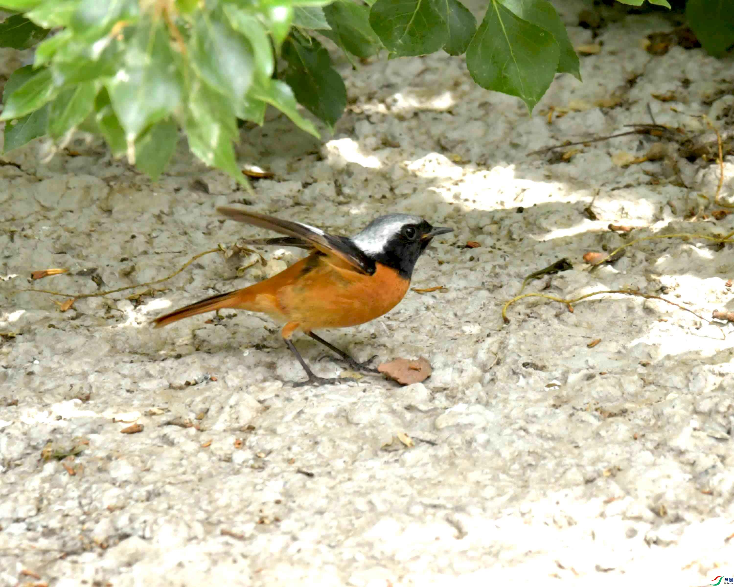 DSC_8872.JPG