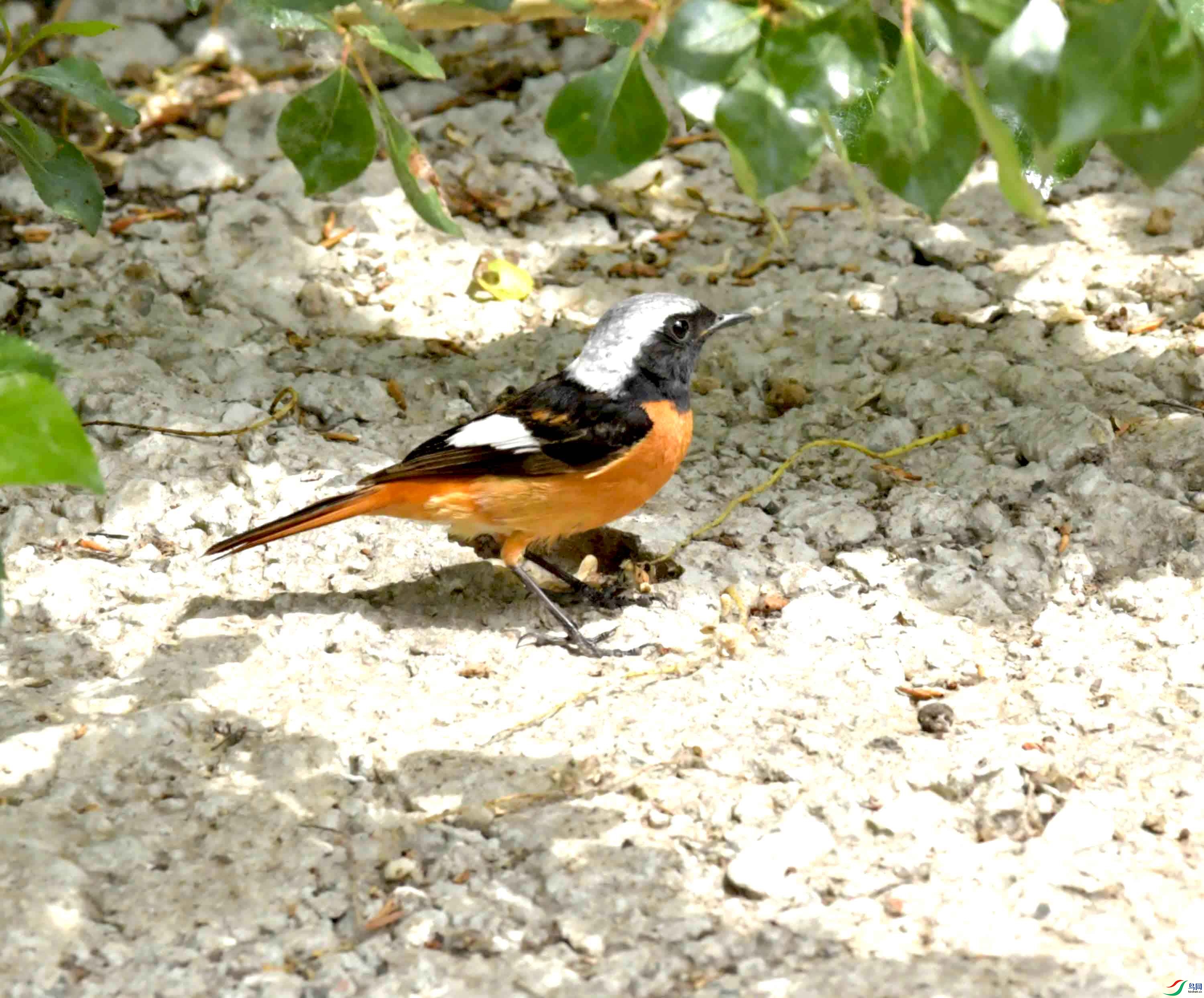 DSC_8877.JPG