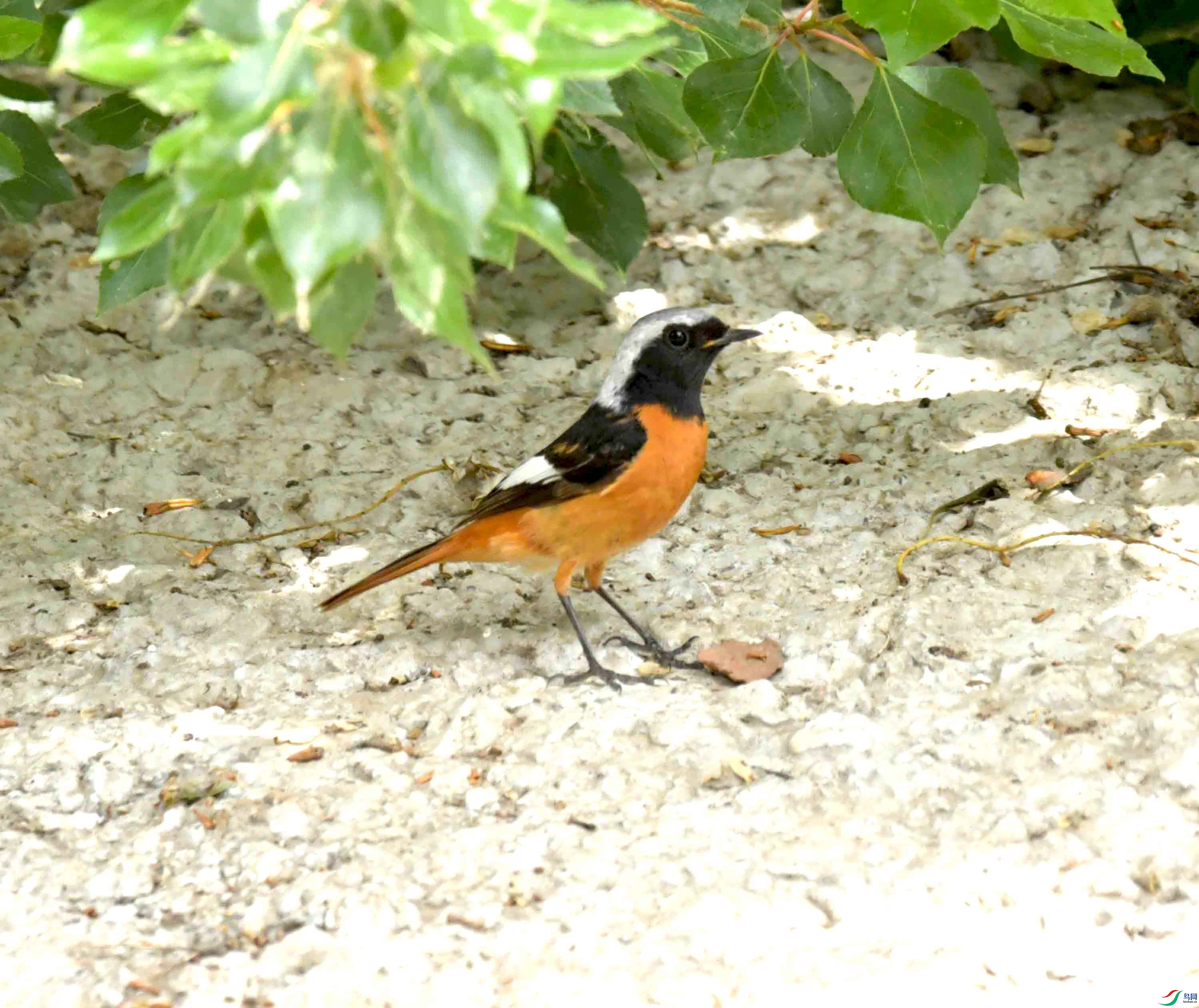 DSC_8869.JPG