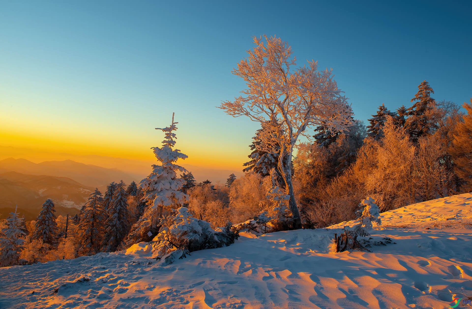 _DSC3688-NEF_DxO_DeepPRIME - ѩԭ��ϼ.jpg