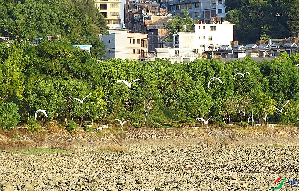 DSC02341_����.jpg