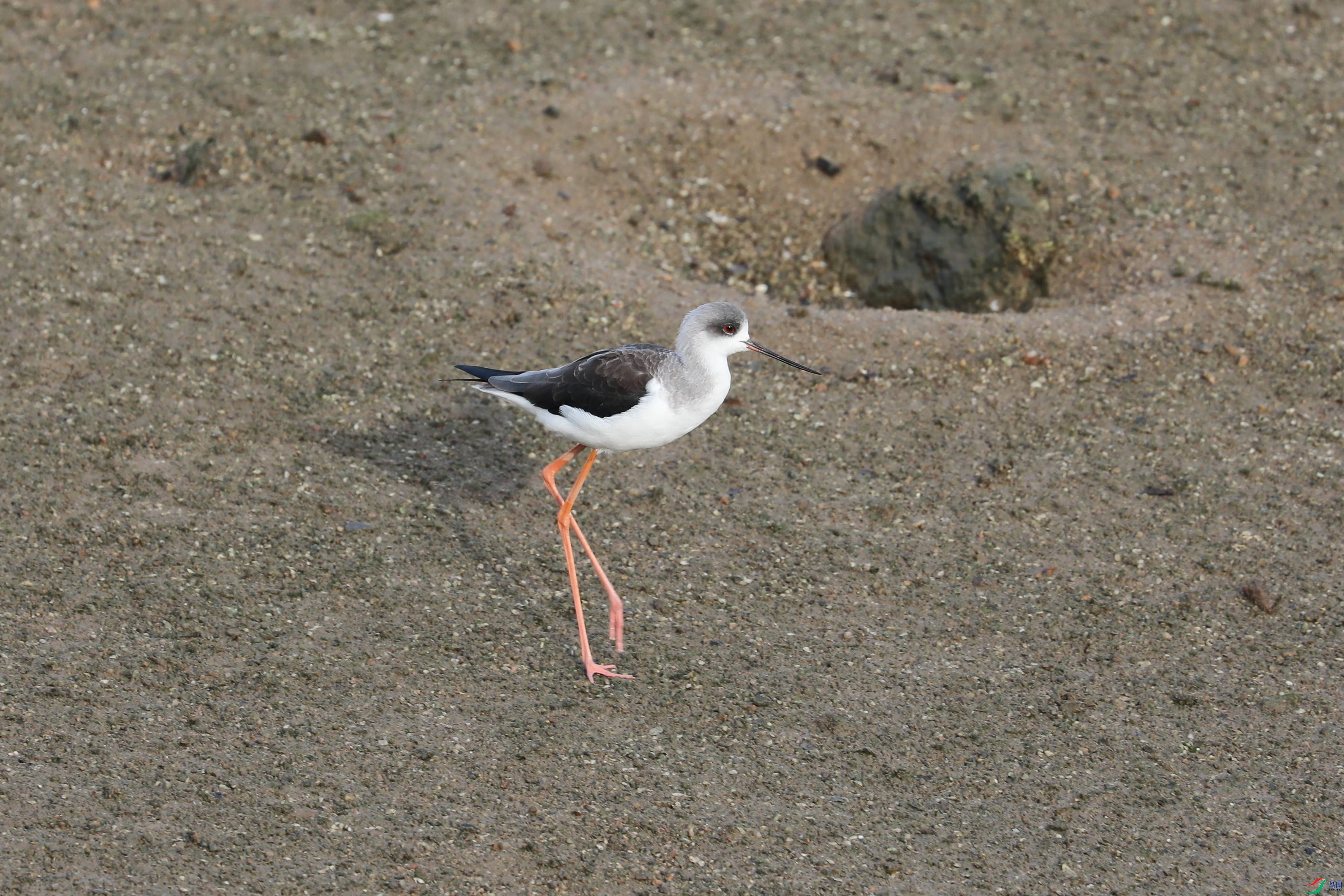 BL7A5354.JPG