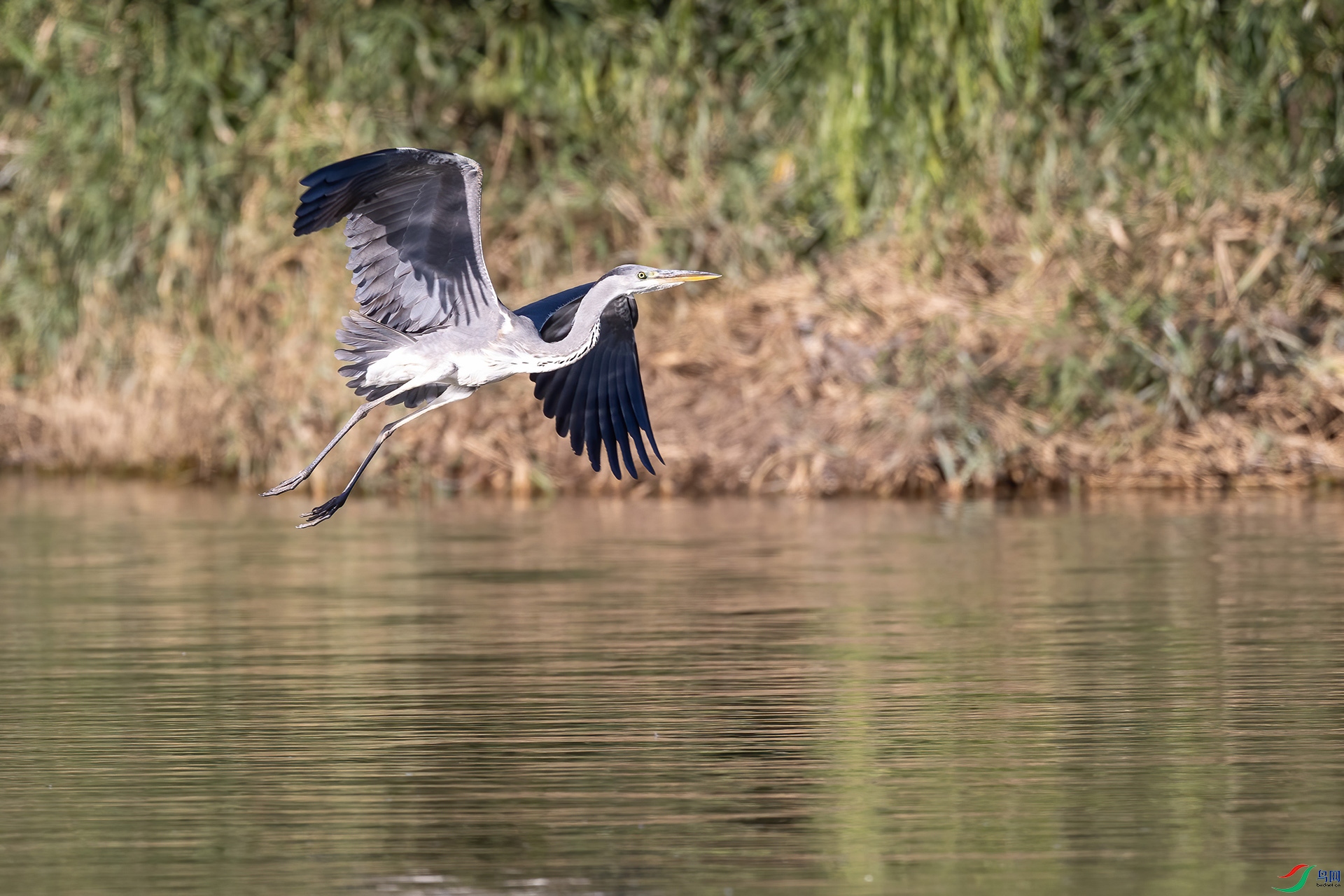 A86I5549-2.jpg