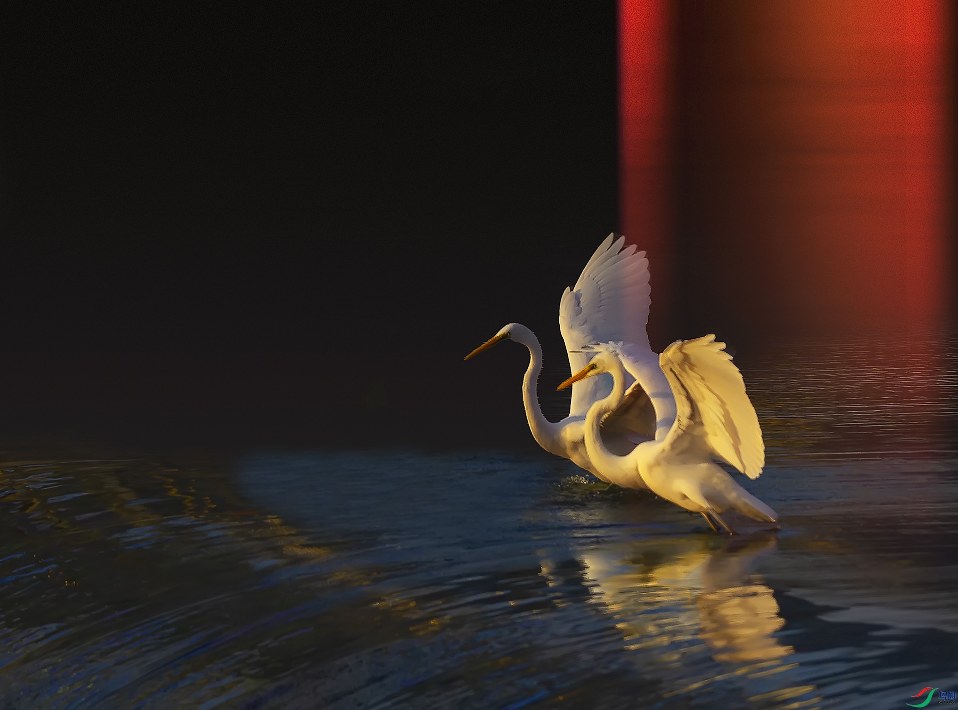 019A9370 ����.jpg