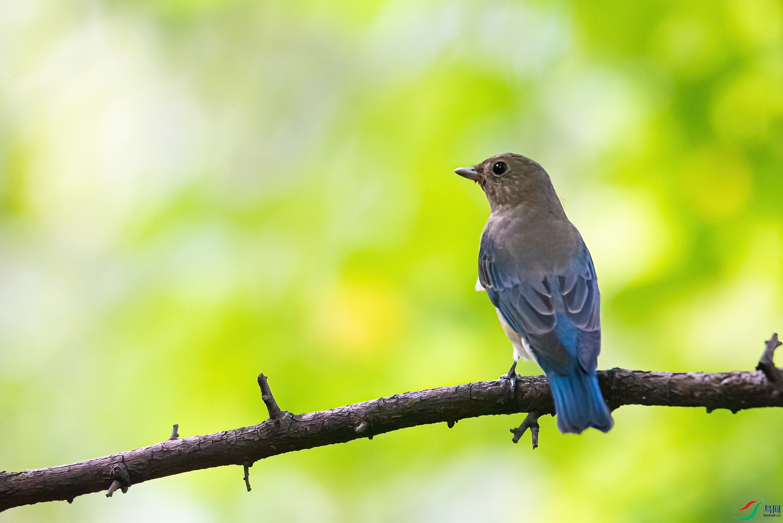 DSC_7070-2.jpg