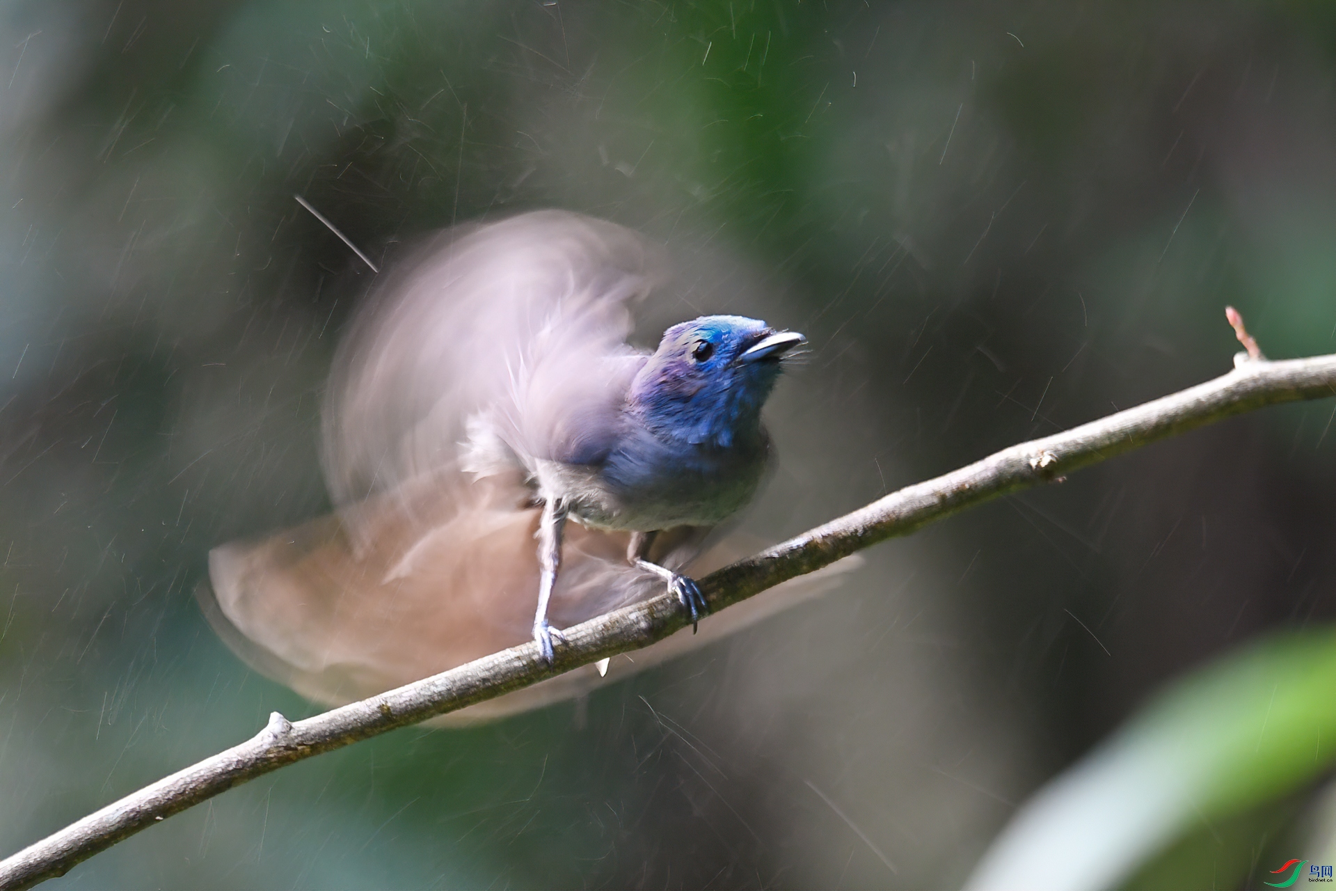 DSC_4145-1.jpg