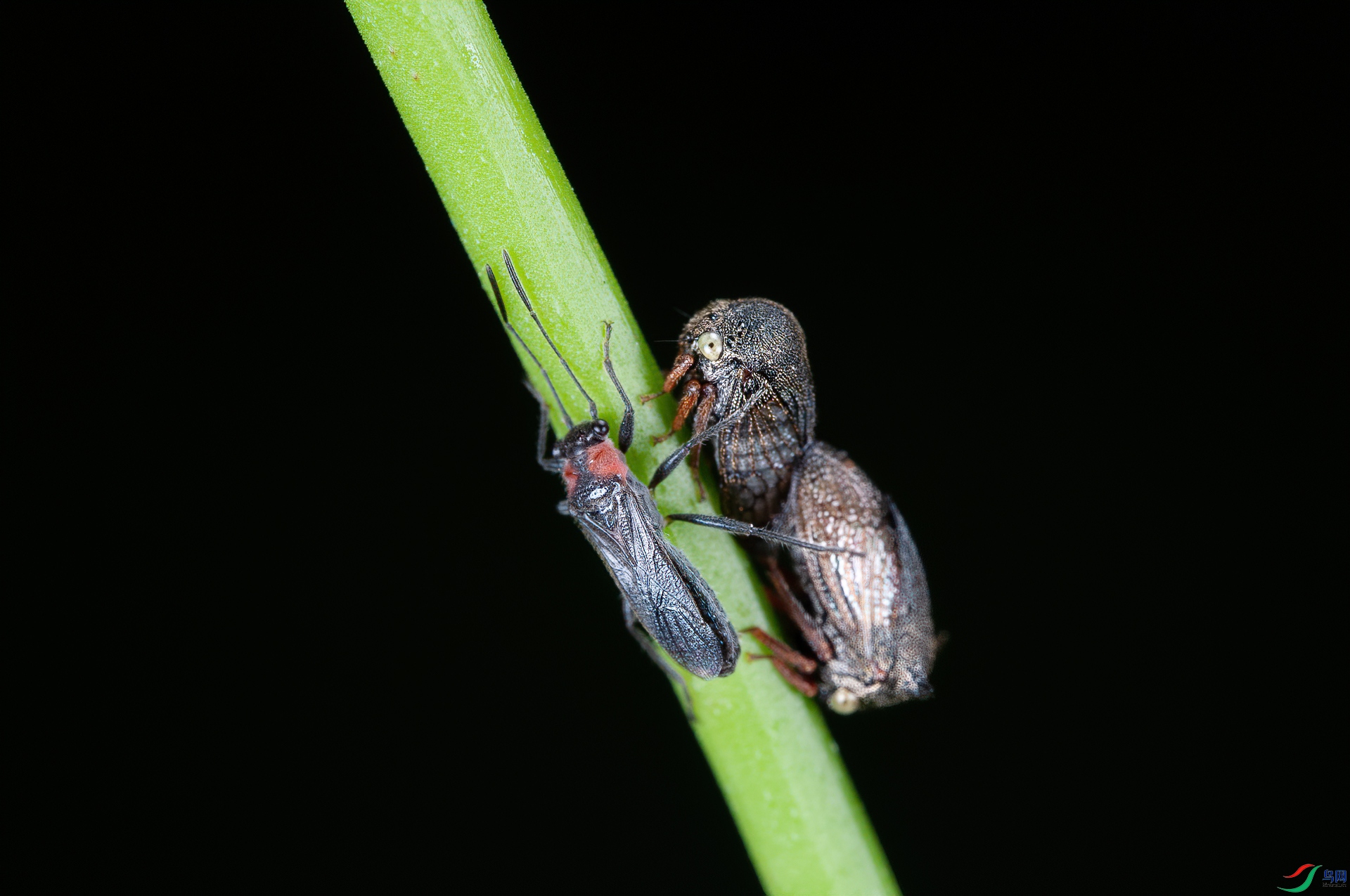DSC_0260-1.jpg