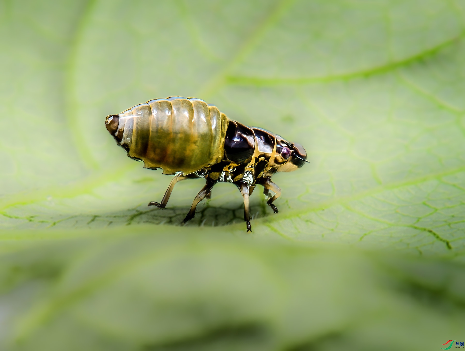 _DSC8621 - ĭ�� - AAA.jpg