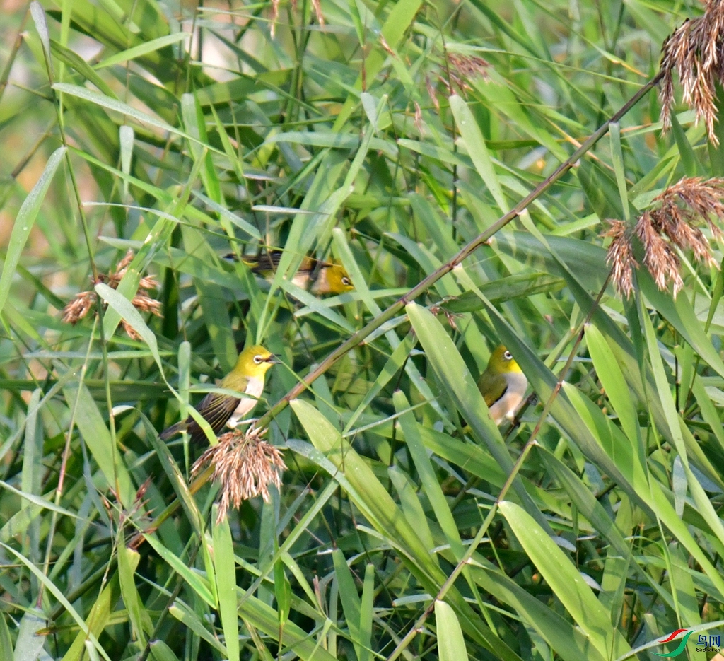 DSC_7643.JPG