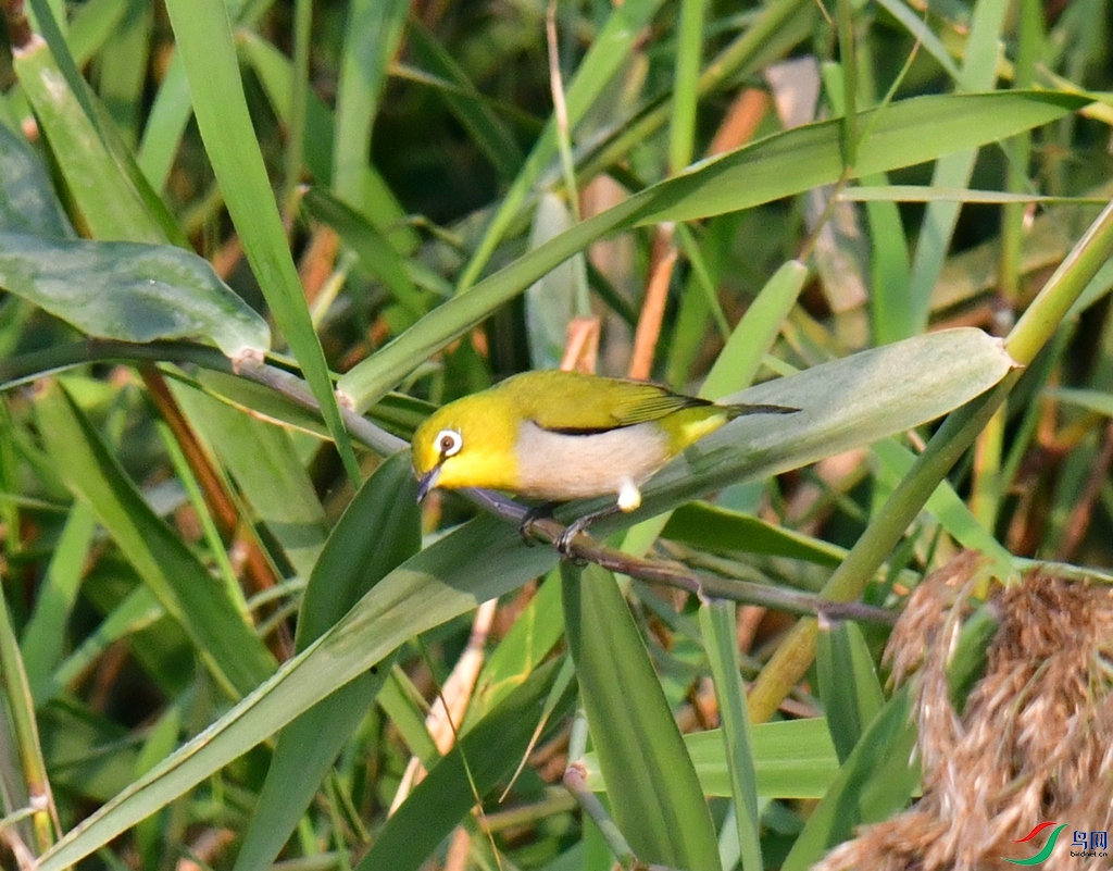 DSC_7659.JPG