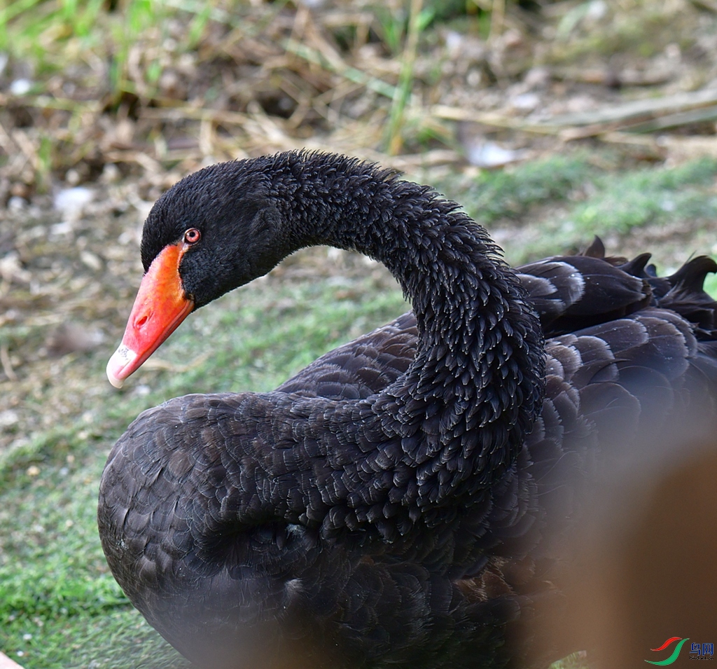 DSC_7092.JPG