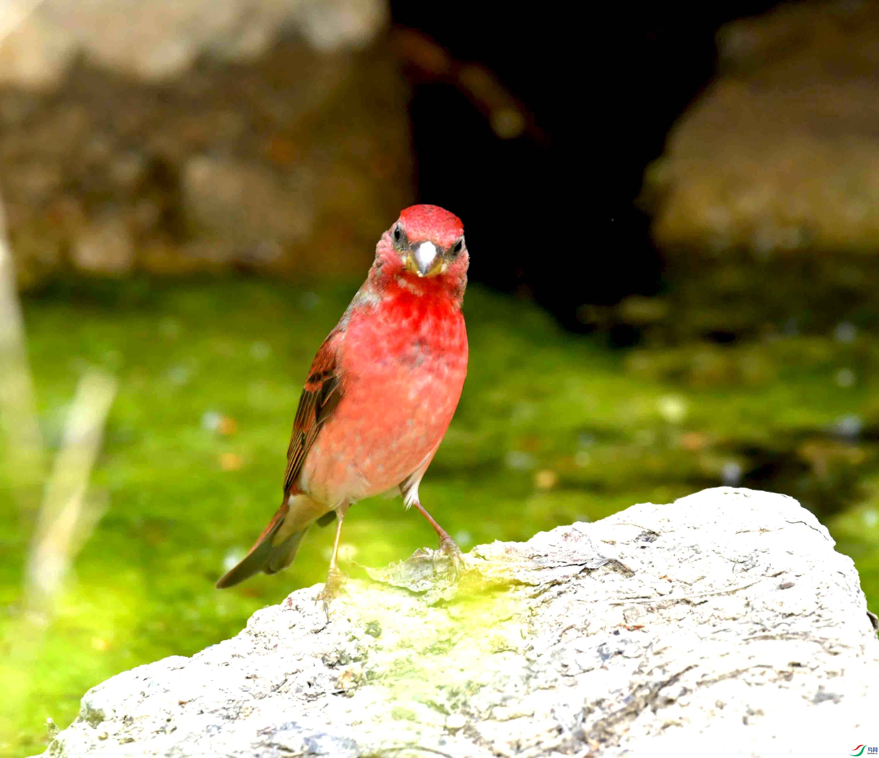 DSC_8771.JPG